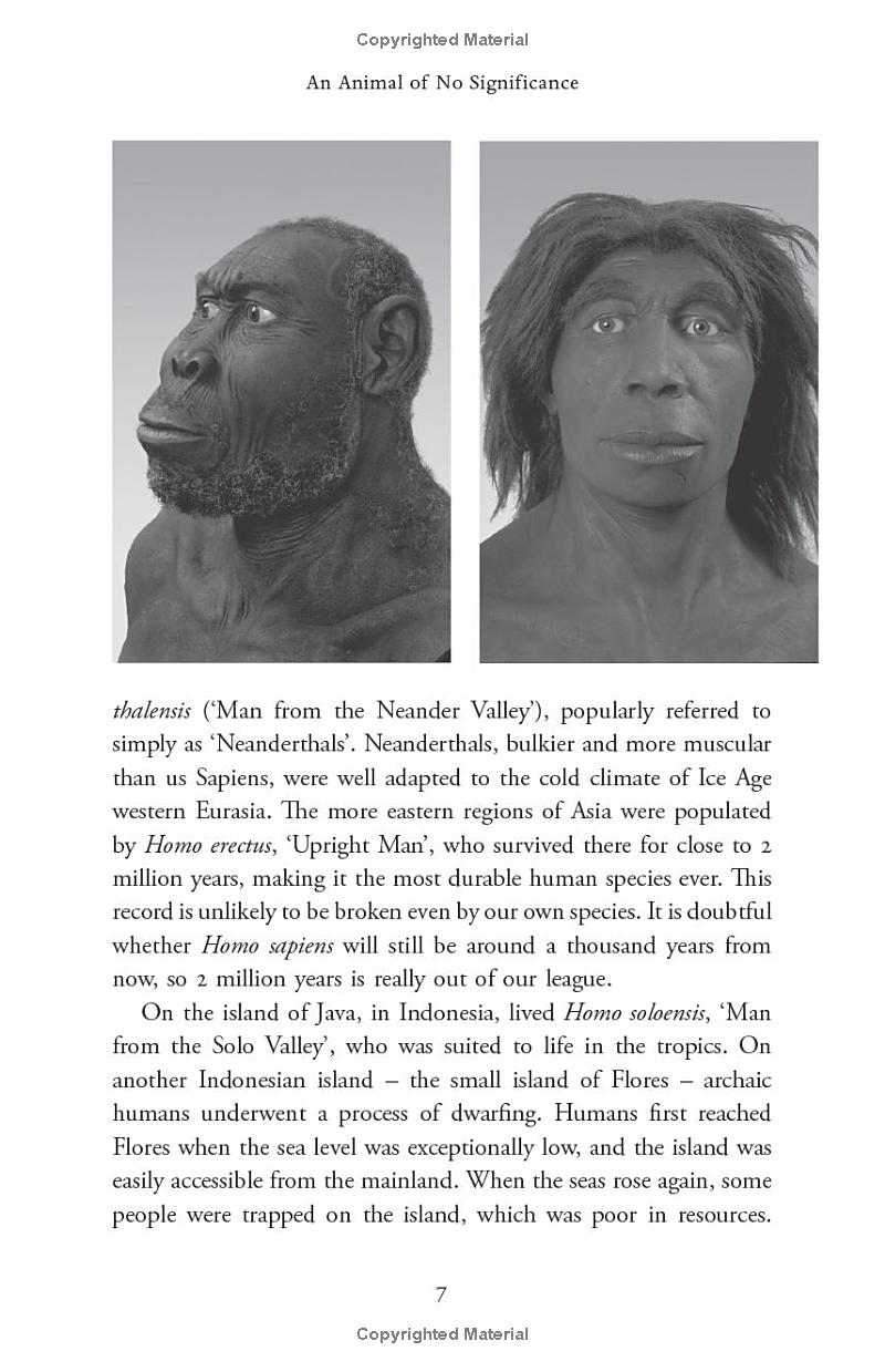 sapiens - a brief history of humankind (10 year anniversary edition)