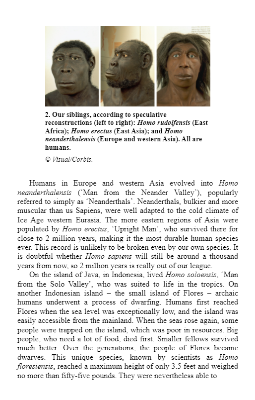 sapiens: a brief history of humankind