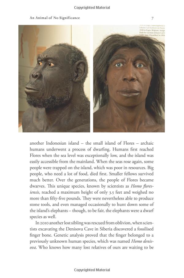sapiens: a brief history of humankind: (patterns of life)