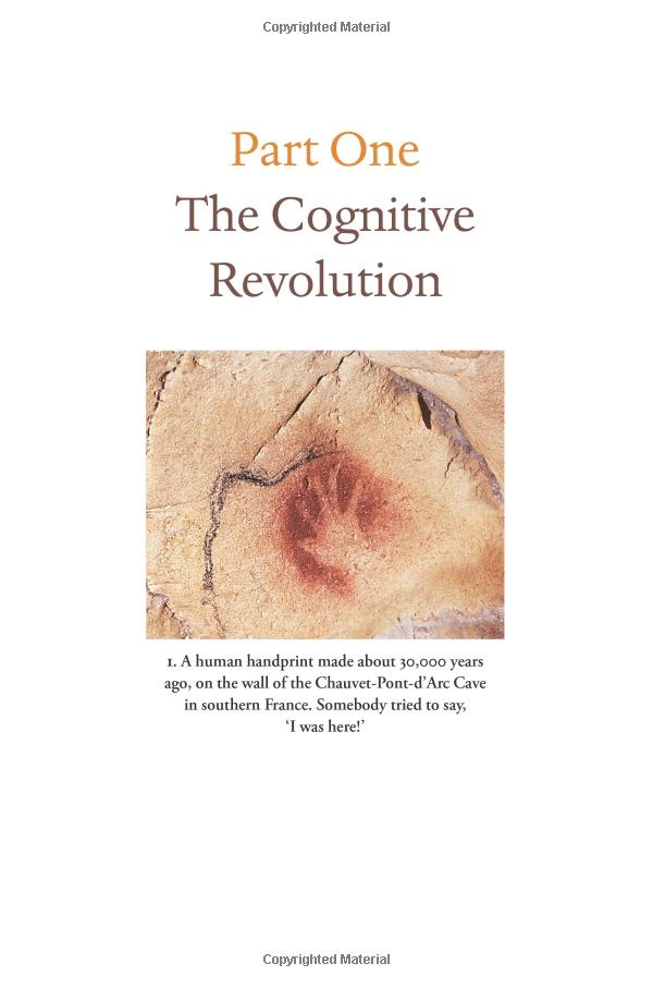 sapiens: a brief history of humankind: (patterns of life)