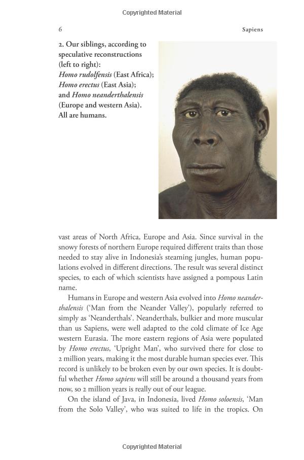 sapiens: a brief history of humankind: (patterns of life)