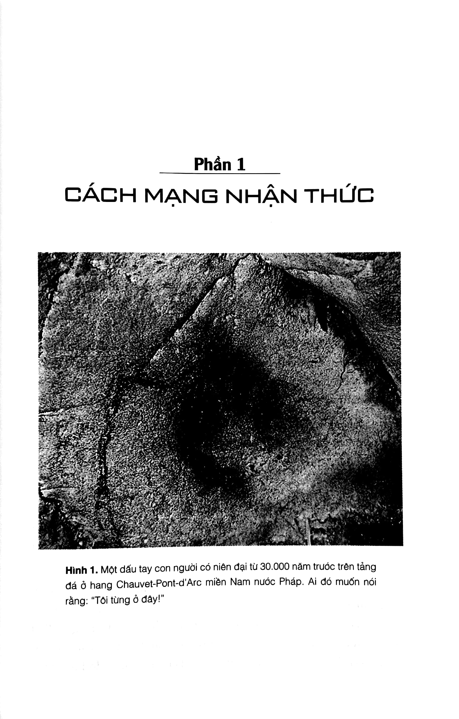 sapiens lược sử loài người