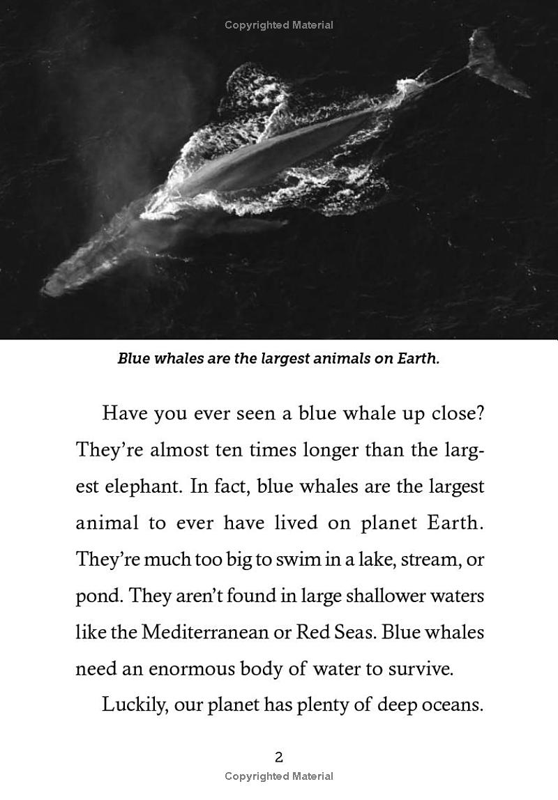 save the...blue whales