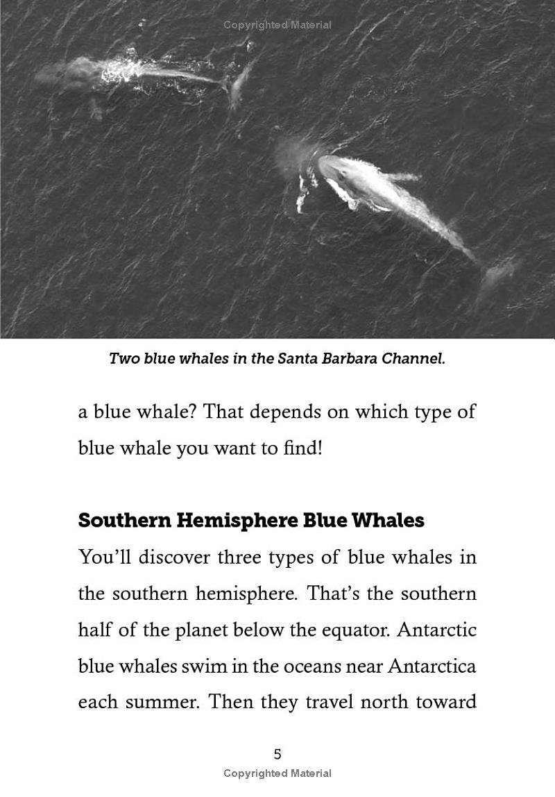 save the...blue whales