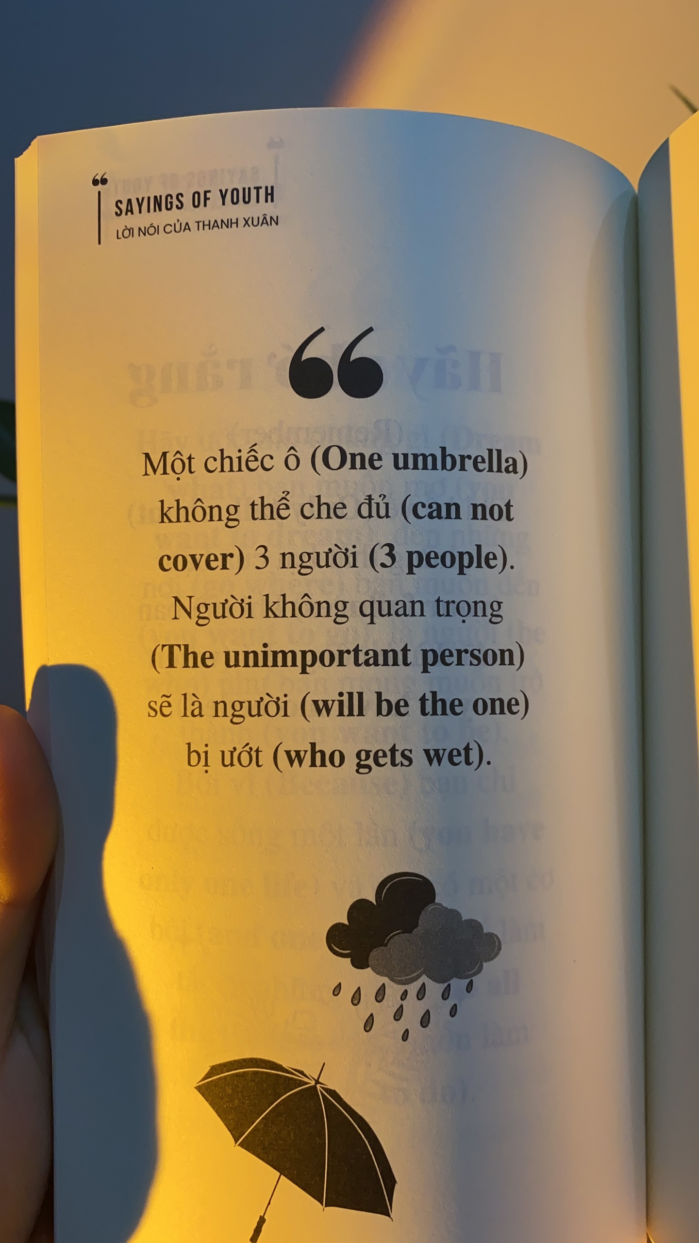 sayings of youth - lời nói của thanh xuân