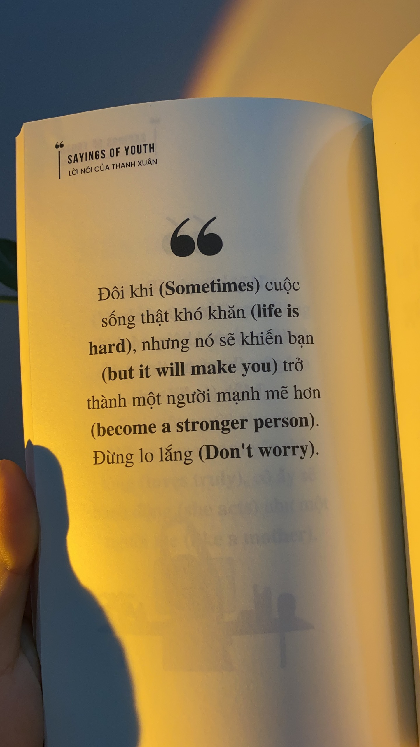 sayings of youth - lời nói của thanh xuân