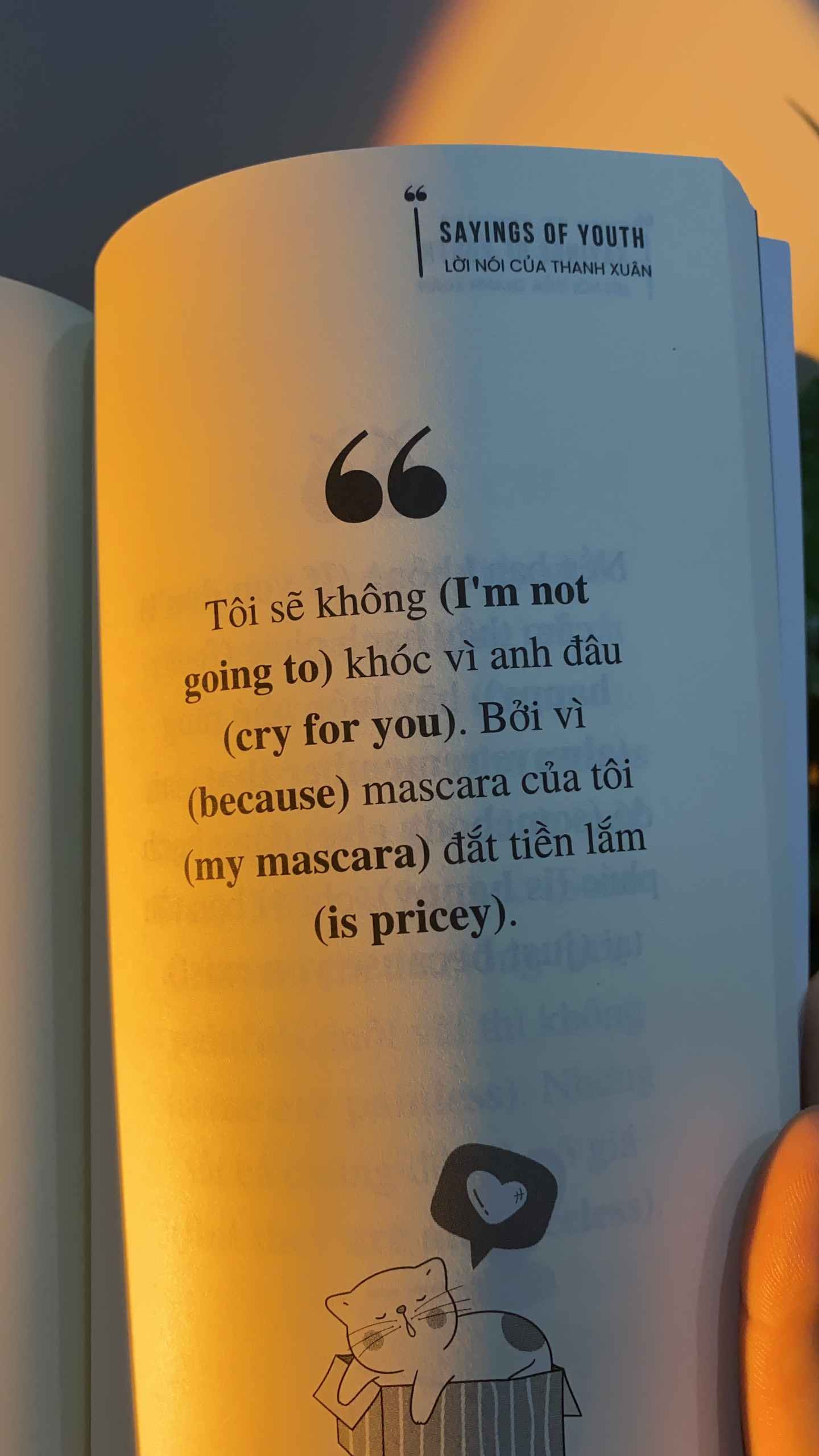 sayings of youth - lời nói của thanh xuân