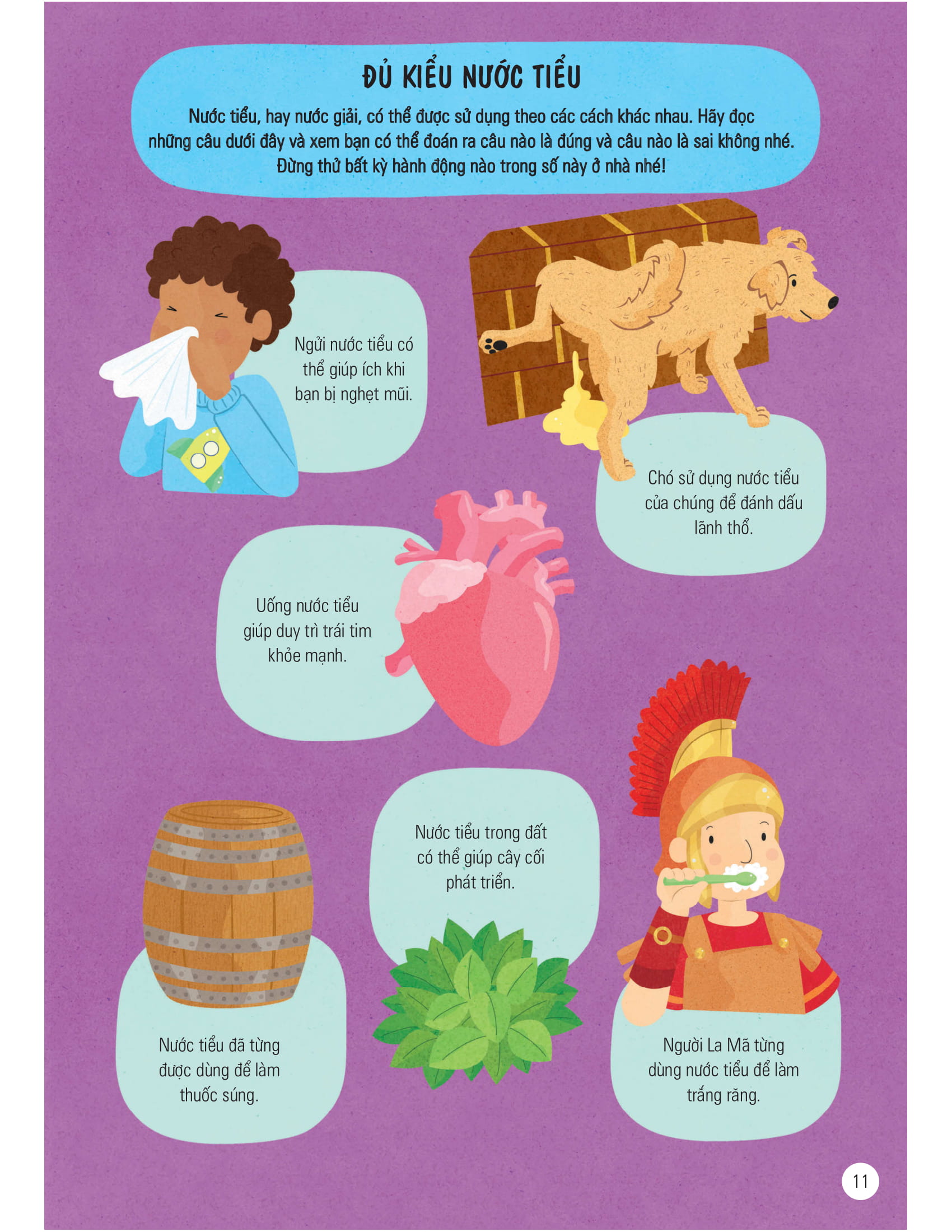 science challenges - cuốn sách khổng lồ về các hoạt động khám phá khoa học