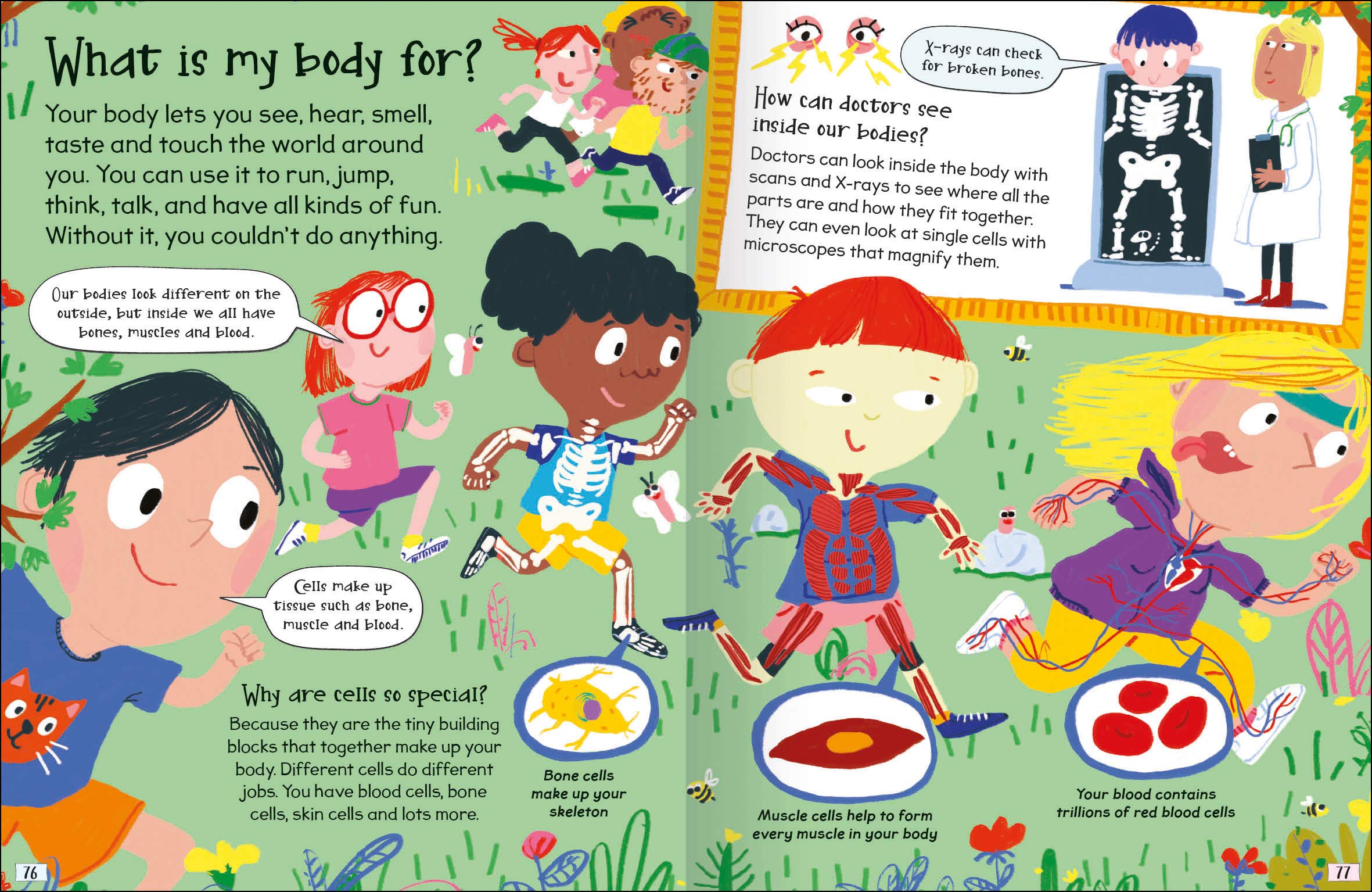 science curious questions and answers