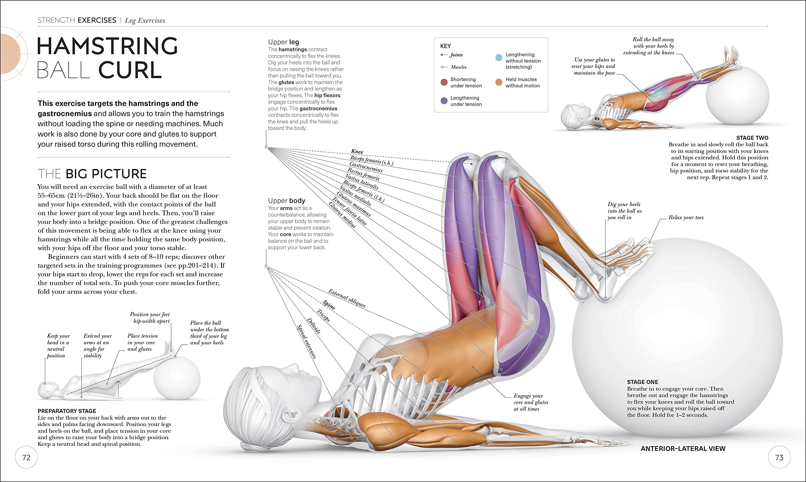 science of strength training: understand the anatomy and physiology to transform your body