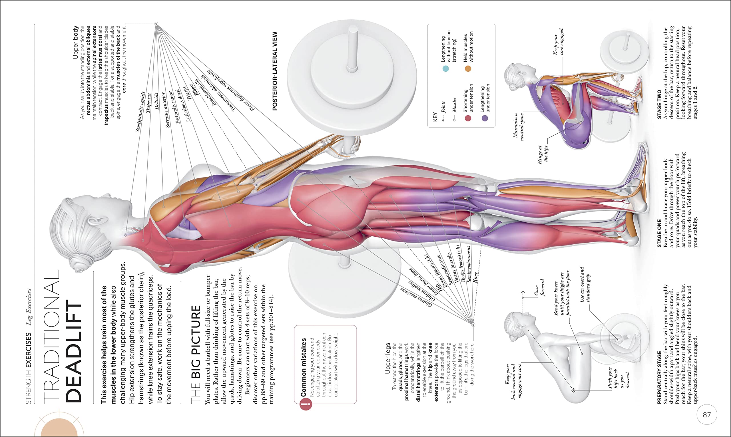 science of strength training: understand the anatomy and physiology to transform your body