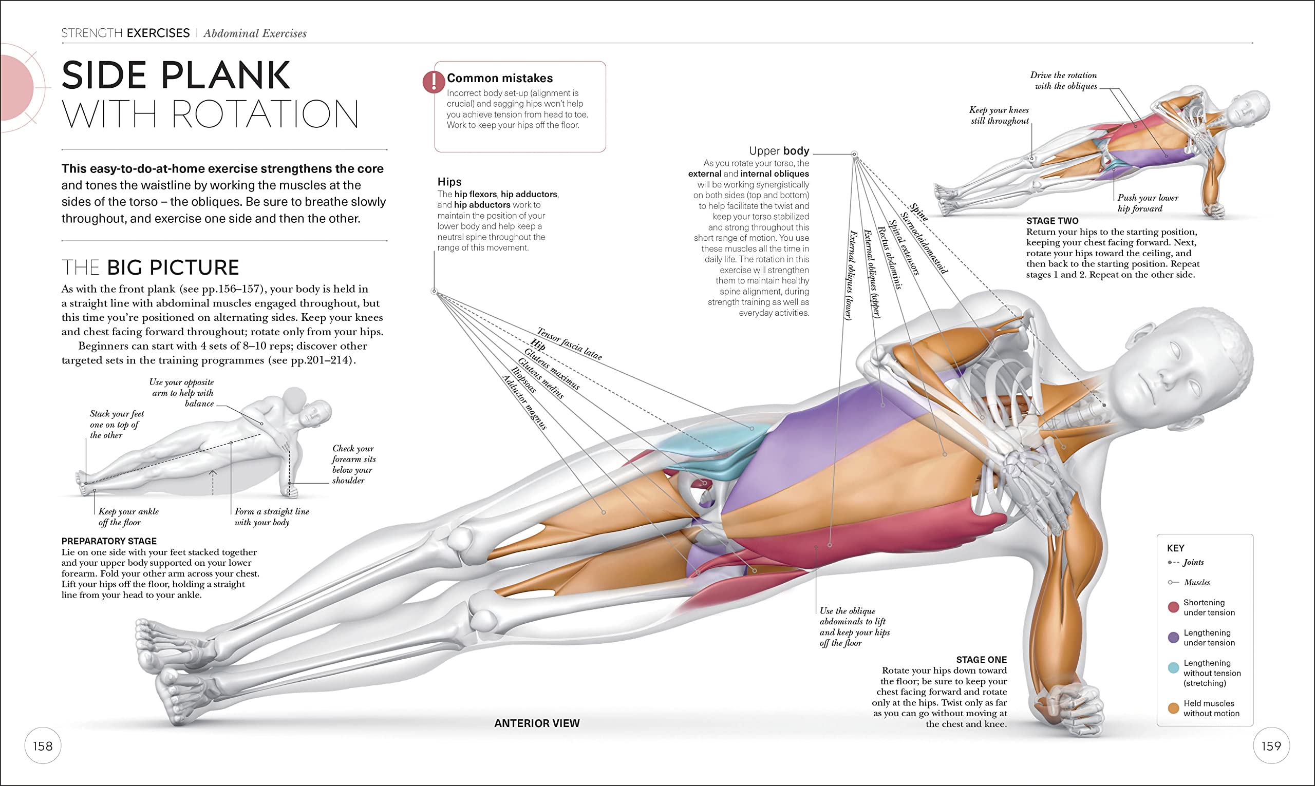 science of strength training: understand the anatomy and physiology to transform your body