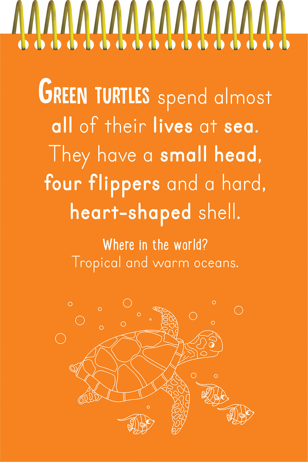 scratch & colour animals