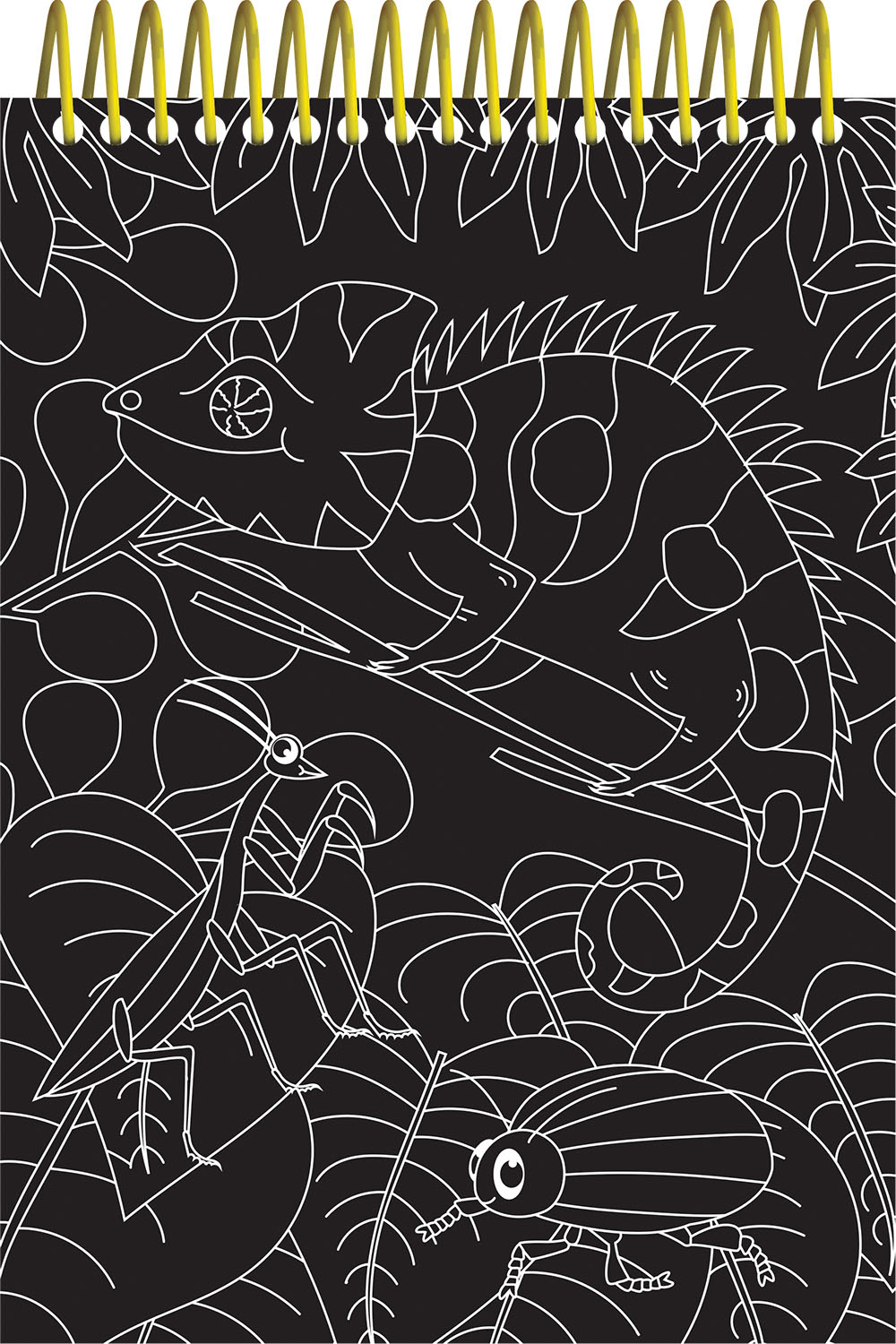 scratch & colour animals