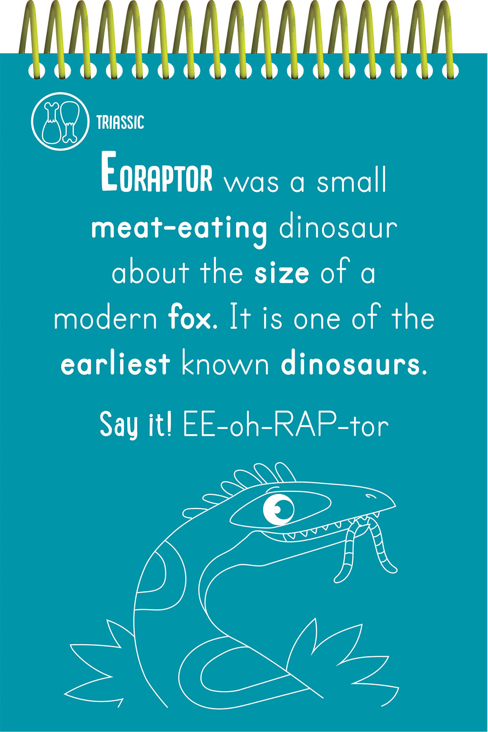 scratch & colour dinosaurs