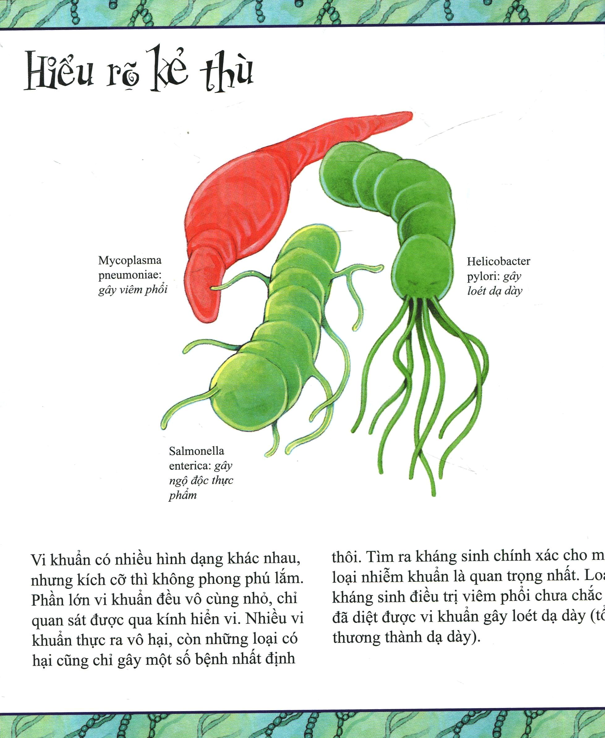 sẽ ra sao nếu thiếu thuốc kháng sinh (tái bản 2018)