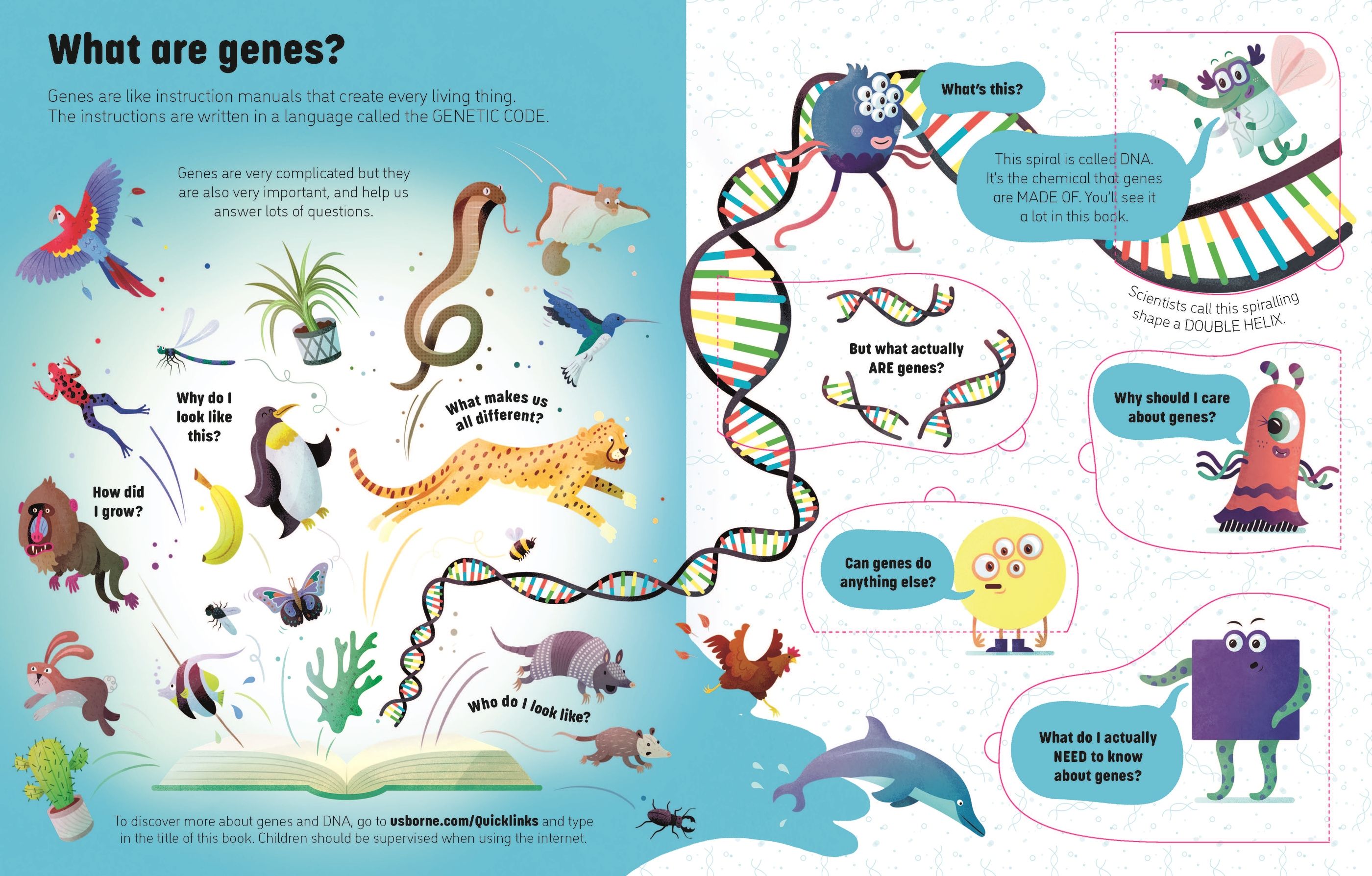 see inside genes and dna