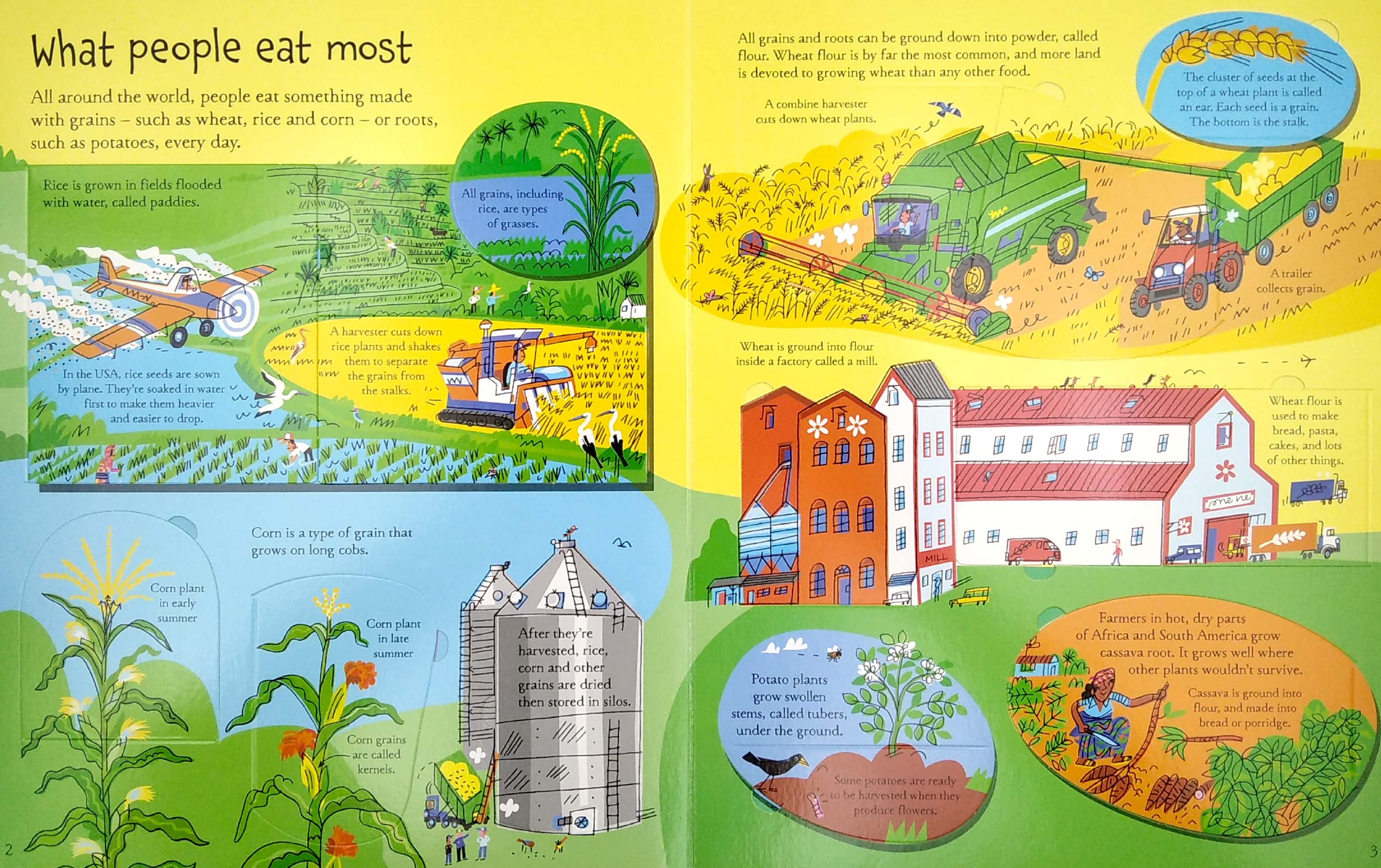 see inside where food comes from