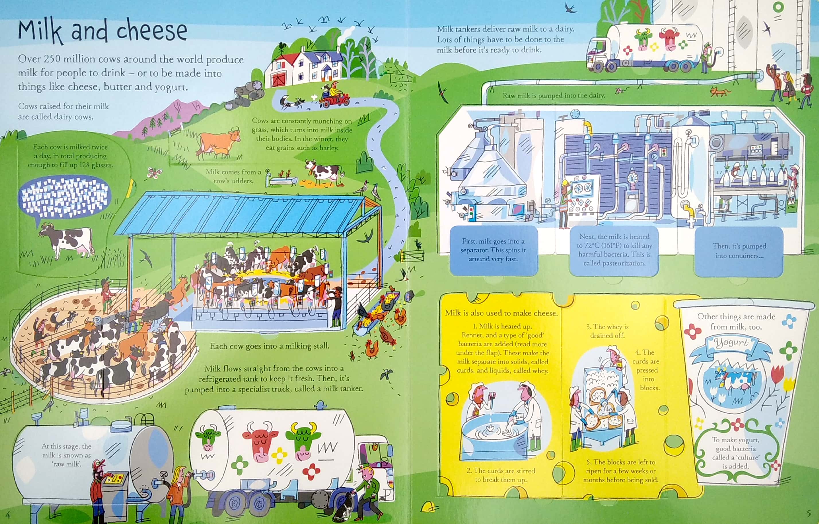 see inside where food comes from