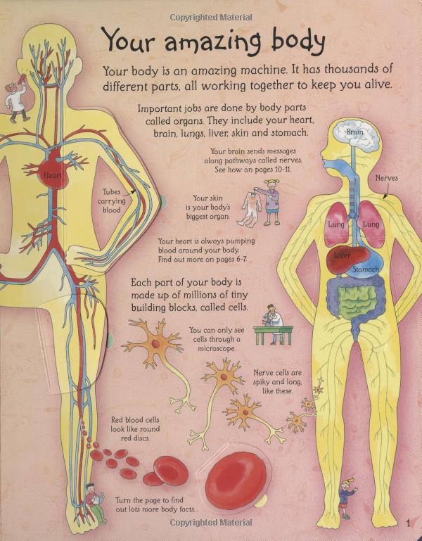 see inside your body