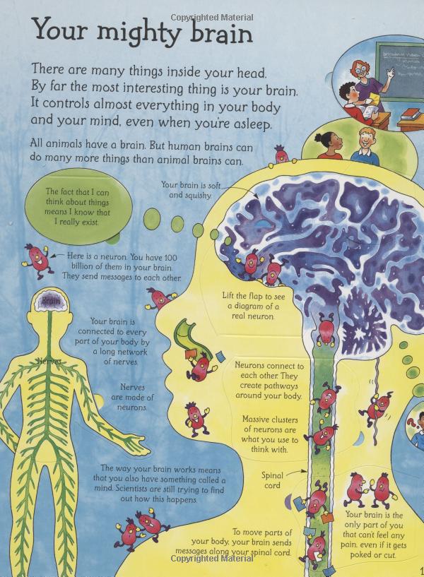 see inside your head