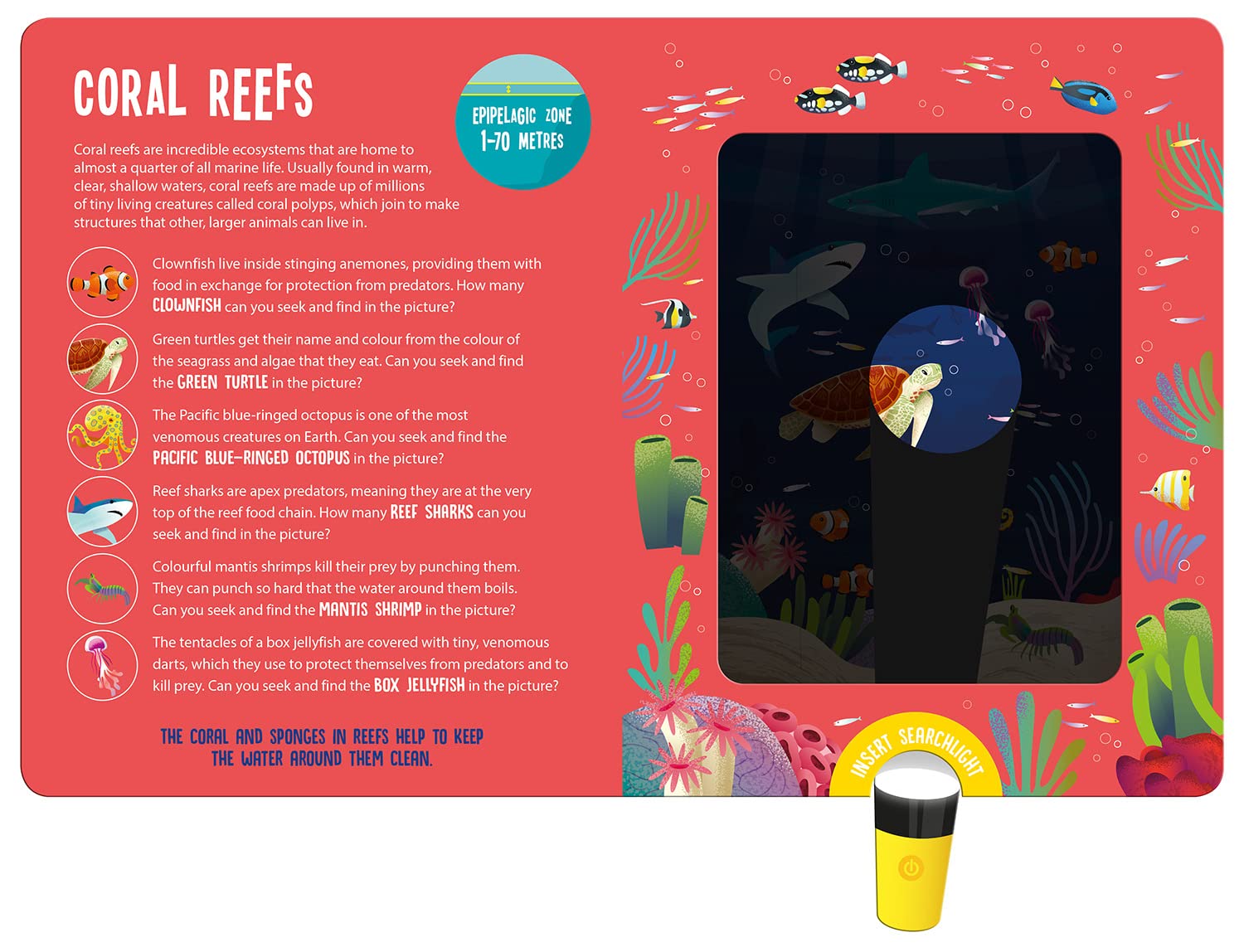 seek and find searchlight - ocean animals