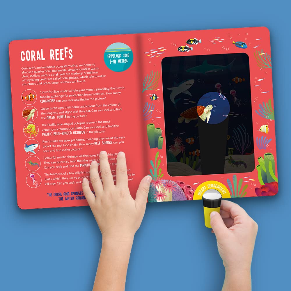 seek and find searchlight - ocean animals