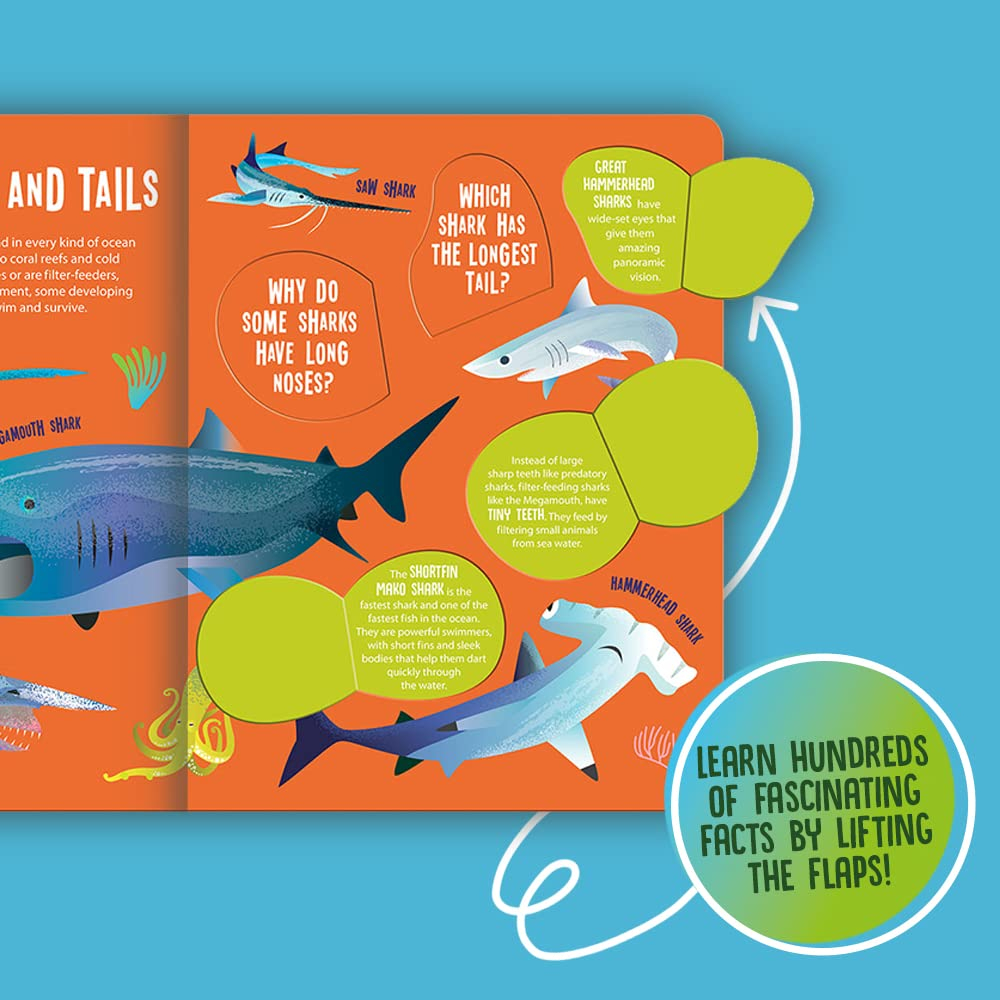 seek and find sharks (seek & find - searchlight books)