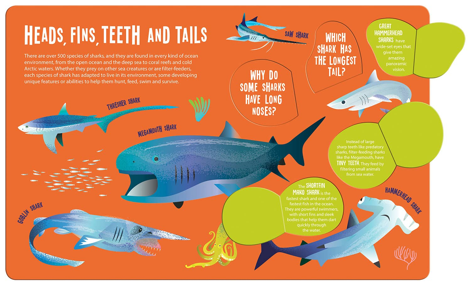 seek and find sharks (seek & find - searchlight books)