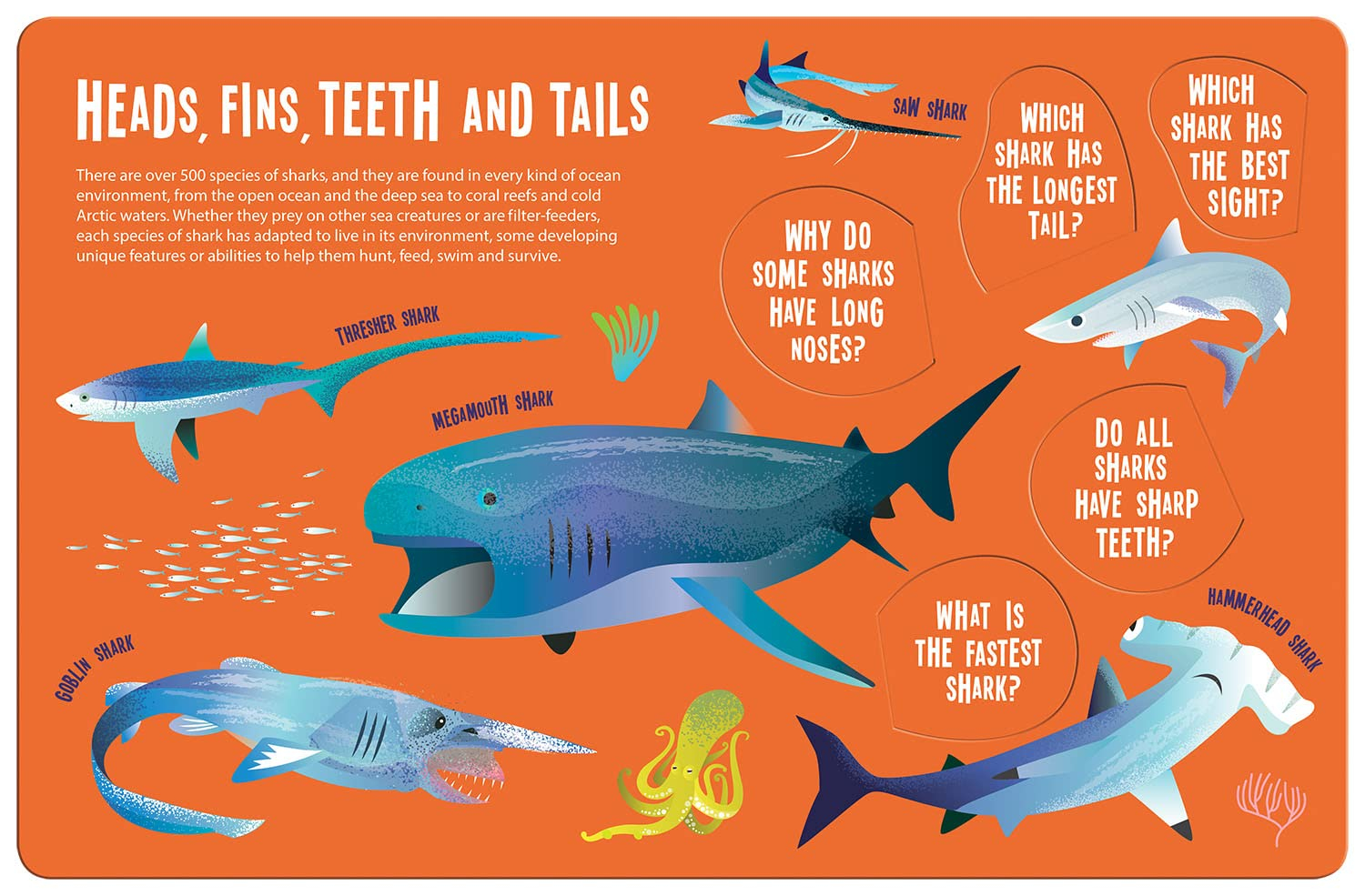 seek and find sharks (seek & find - searchlight books)