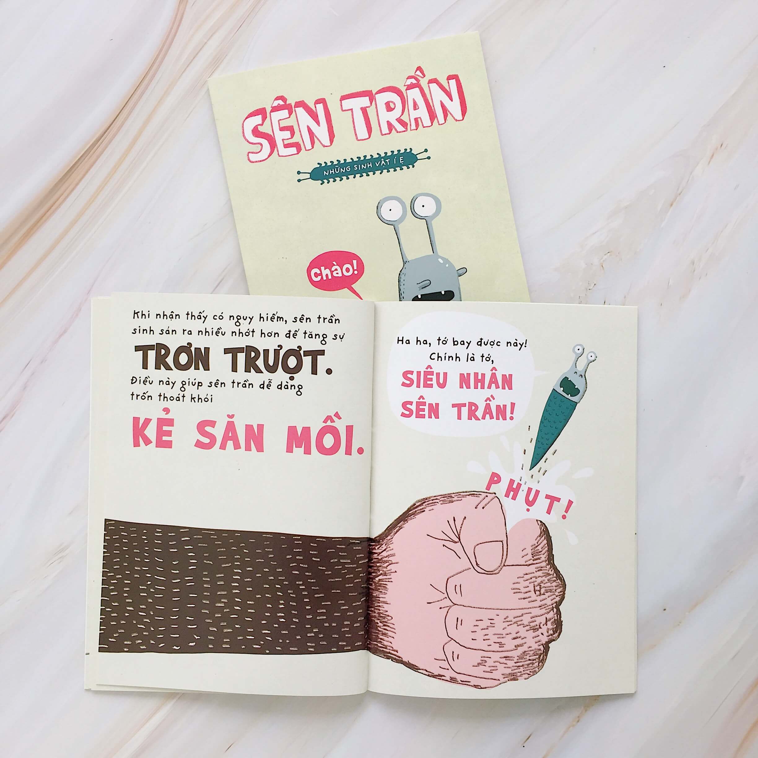 sên trần - những sinh vật í ẹ (từ 5 đến 9 tuổi)