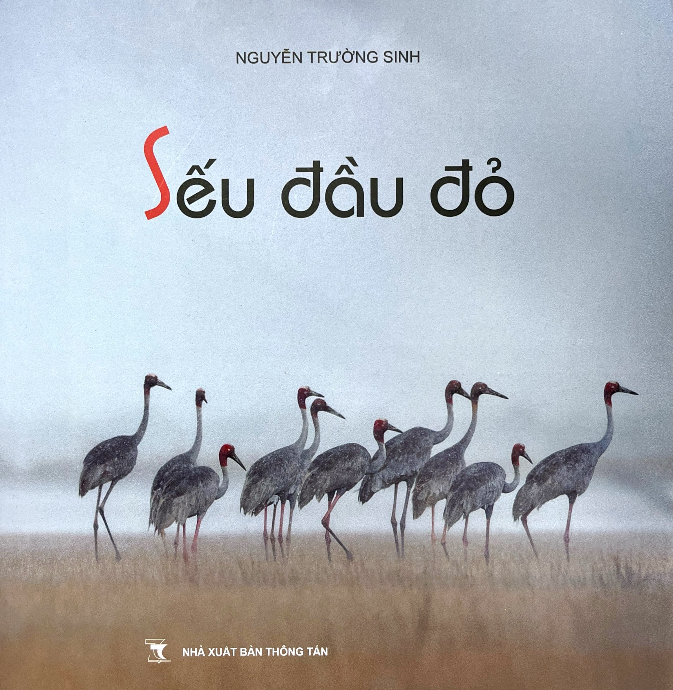 Seu Dau Do - Bia Cung