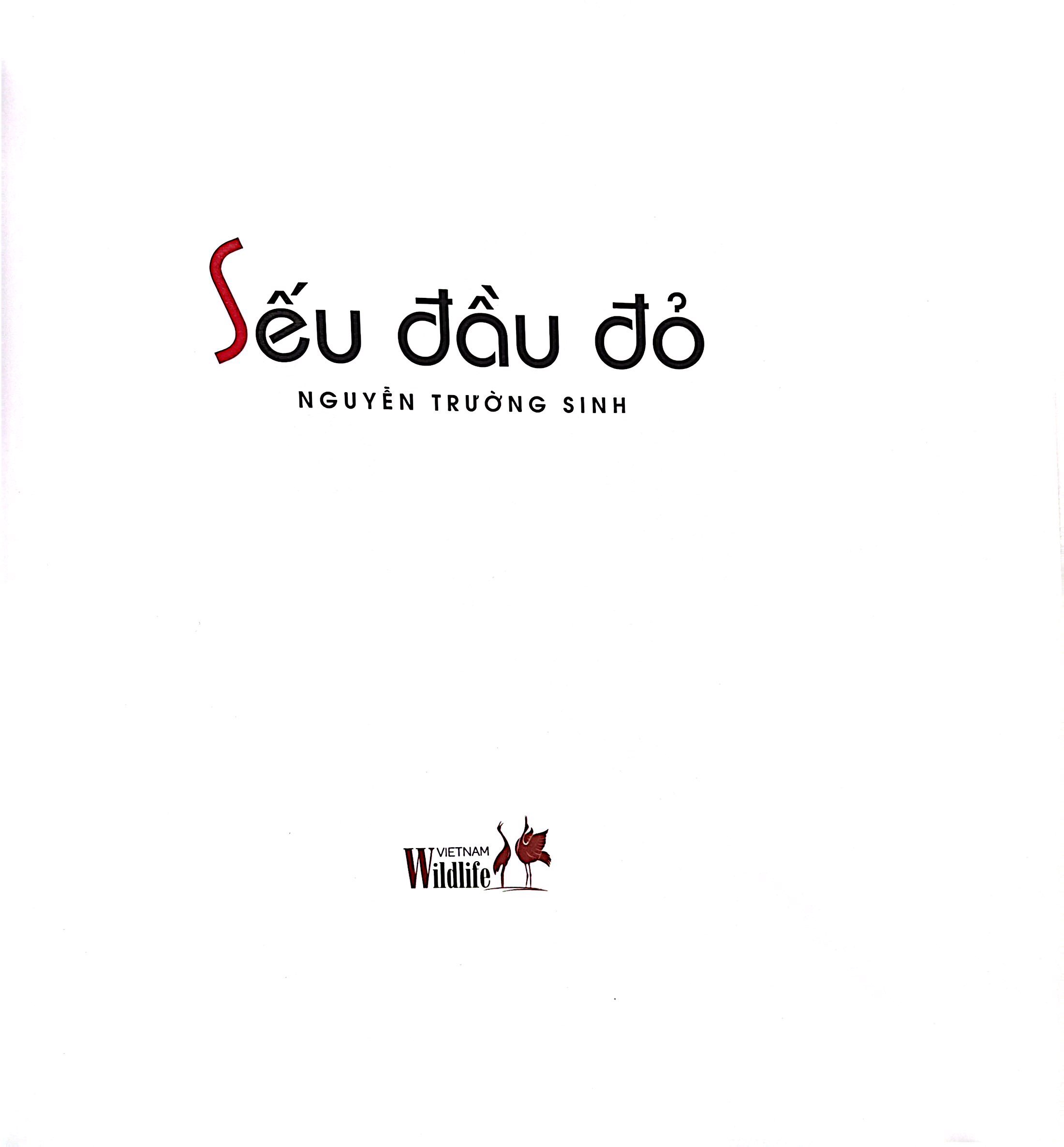 Seu Dau Do - Bia Cung