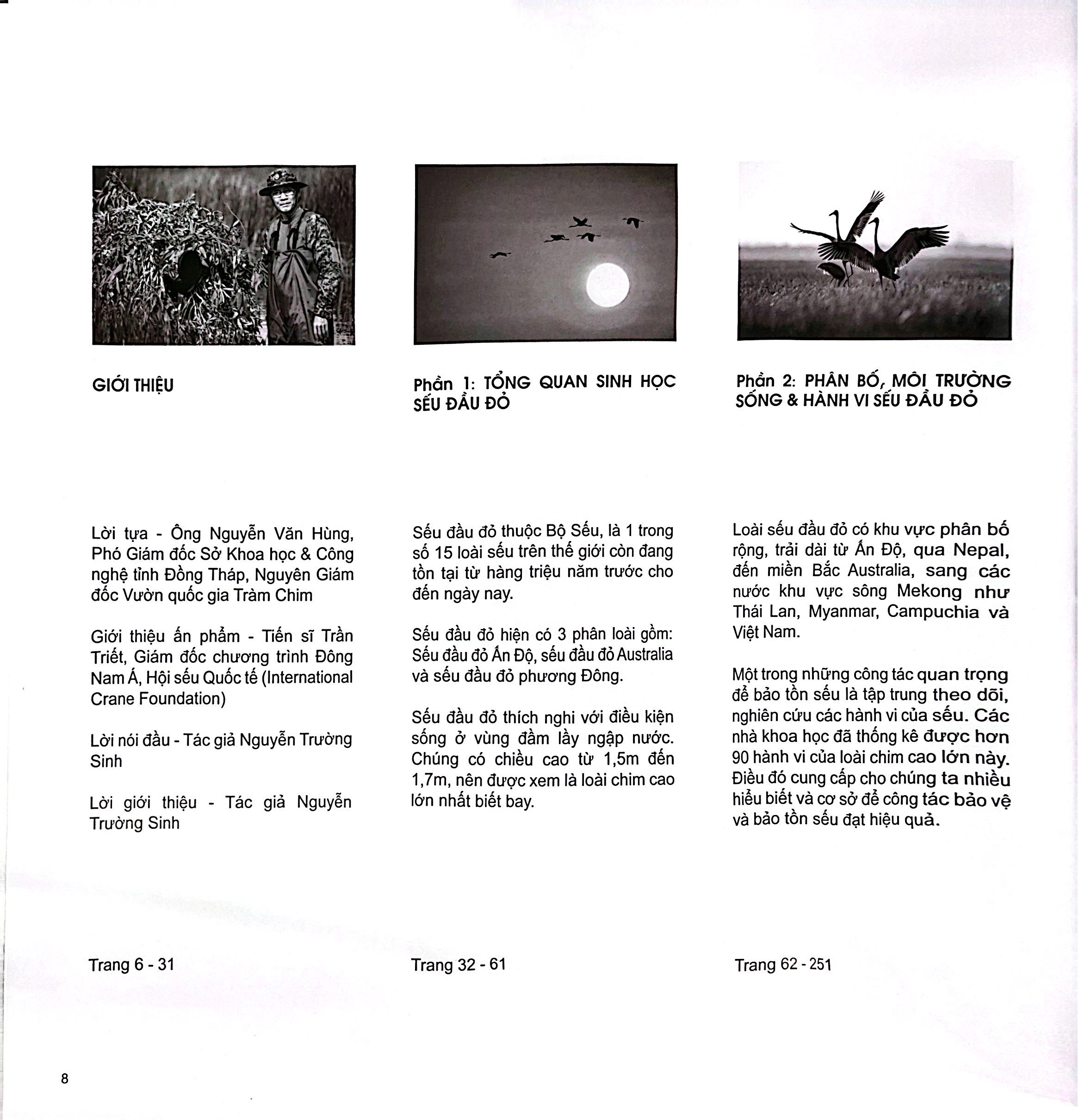 Seu Dau Do - Bia Cung