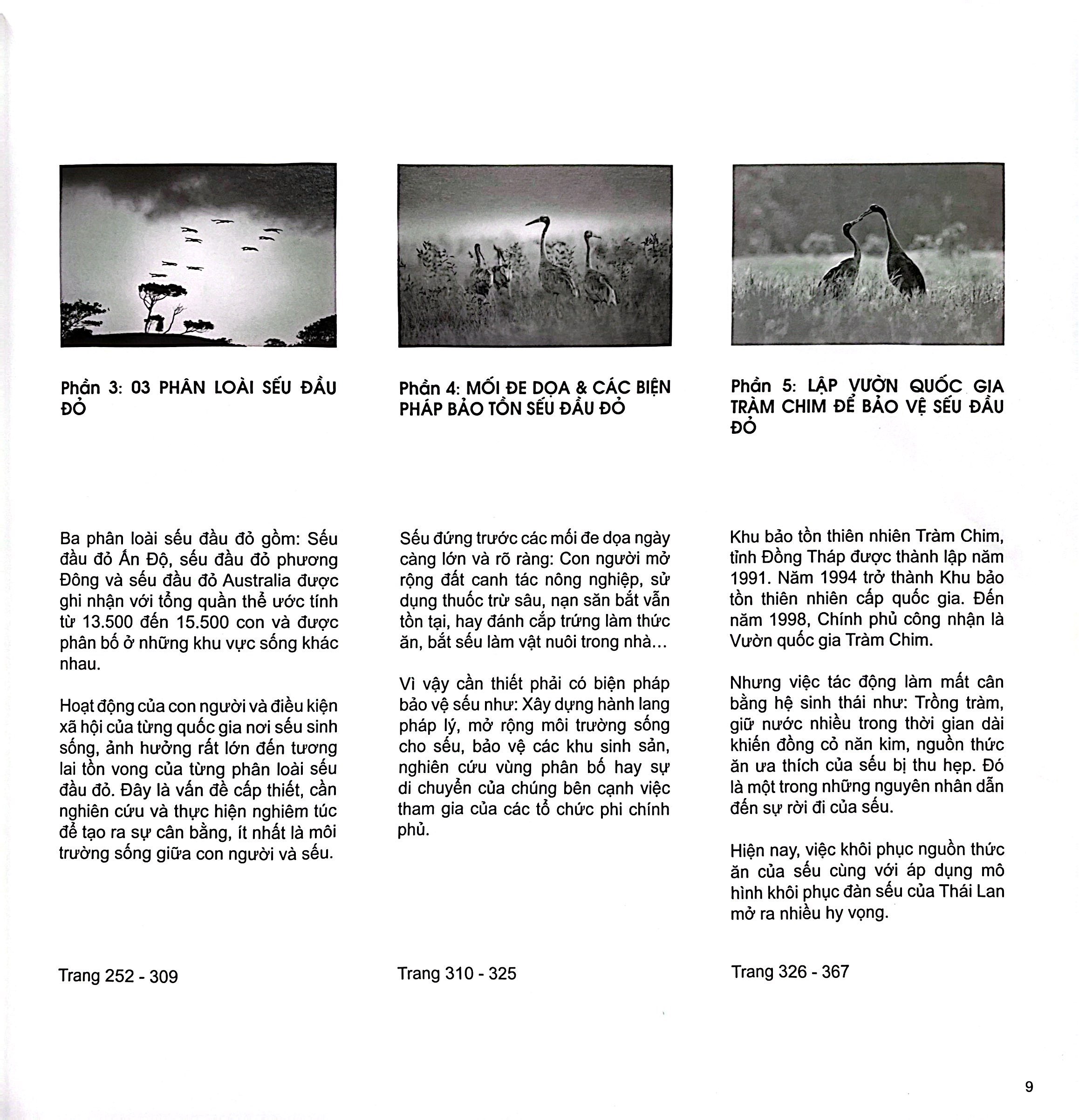 Seu Dau Do - Bia Cung