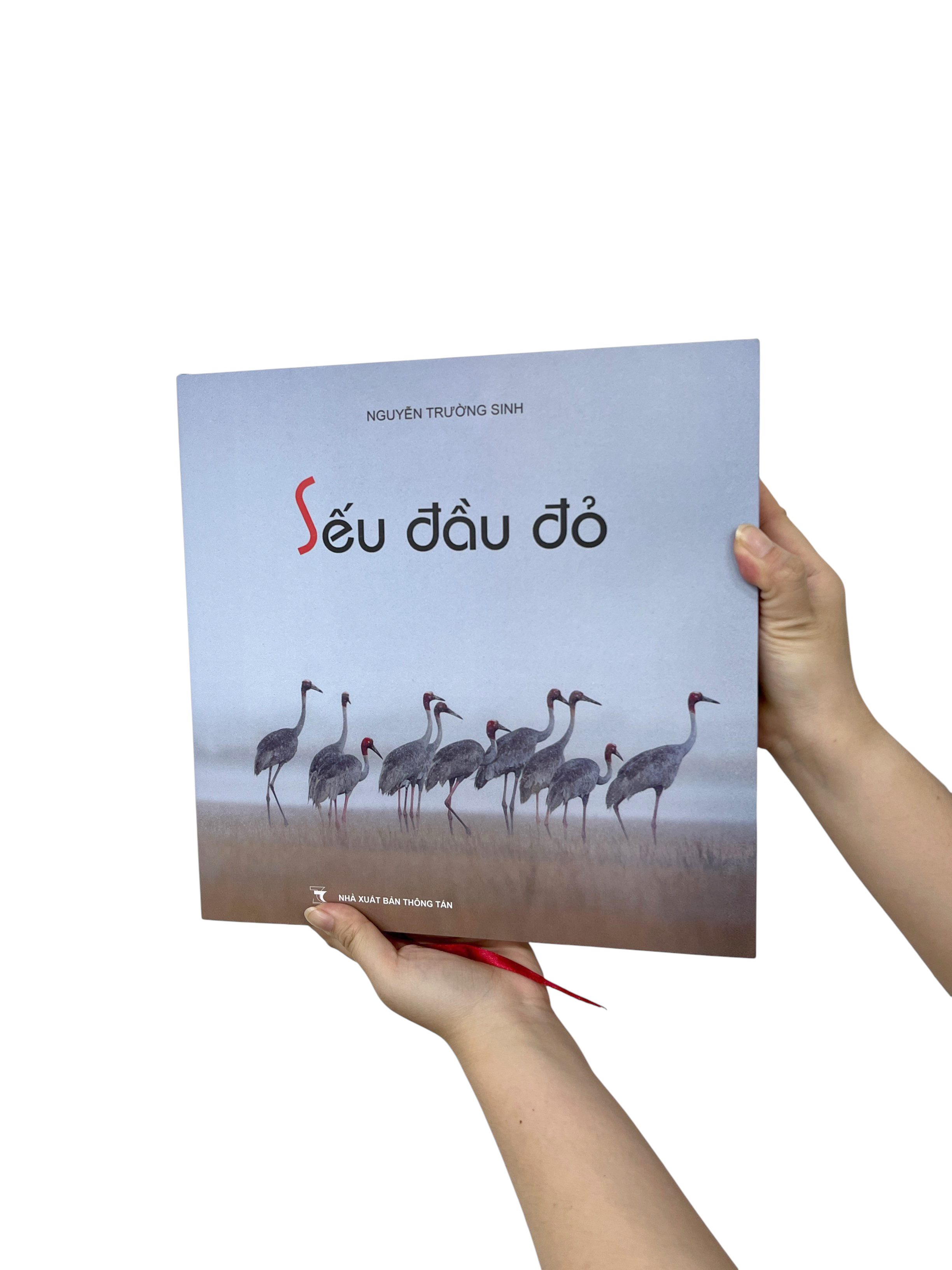 Seu Dau Do - Bia Cung