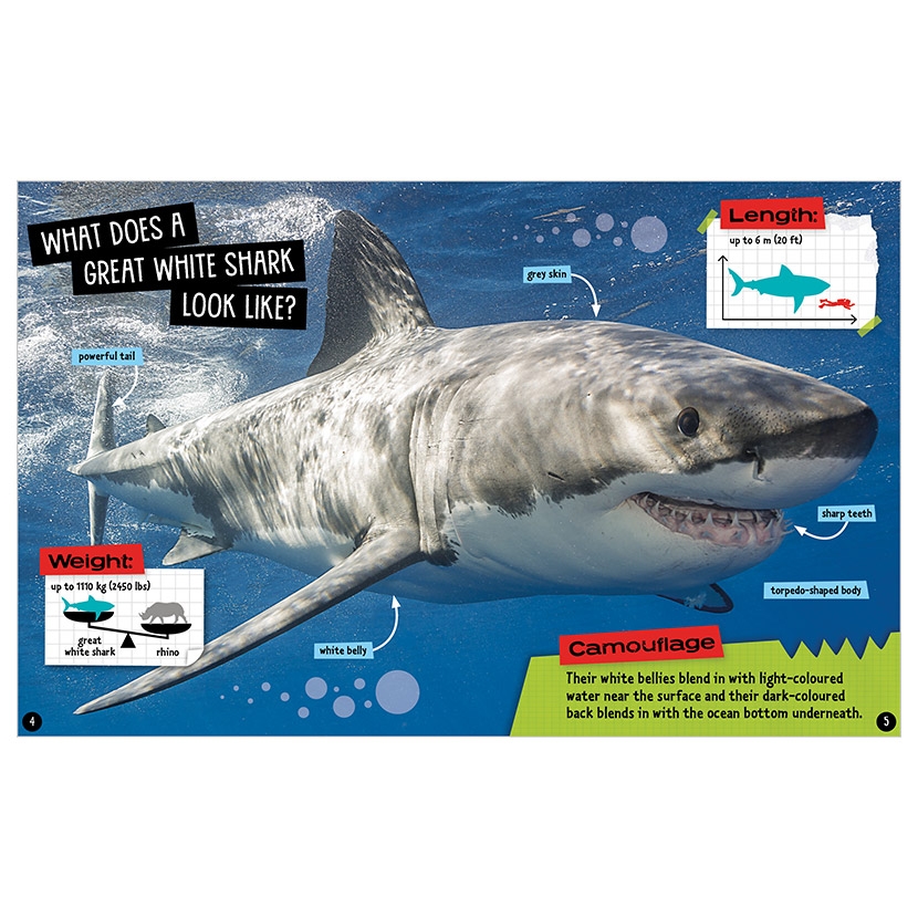 sharks and other creatures of the deep