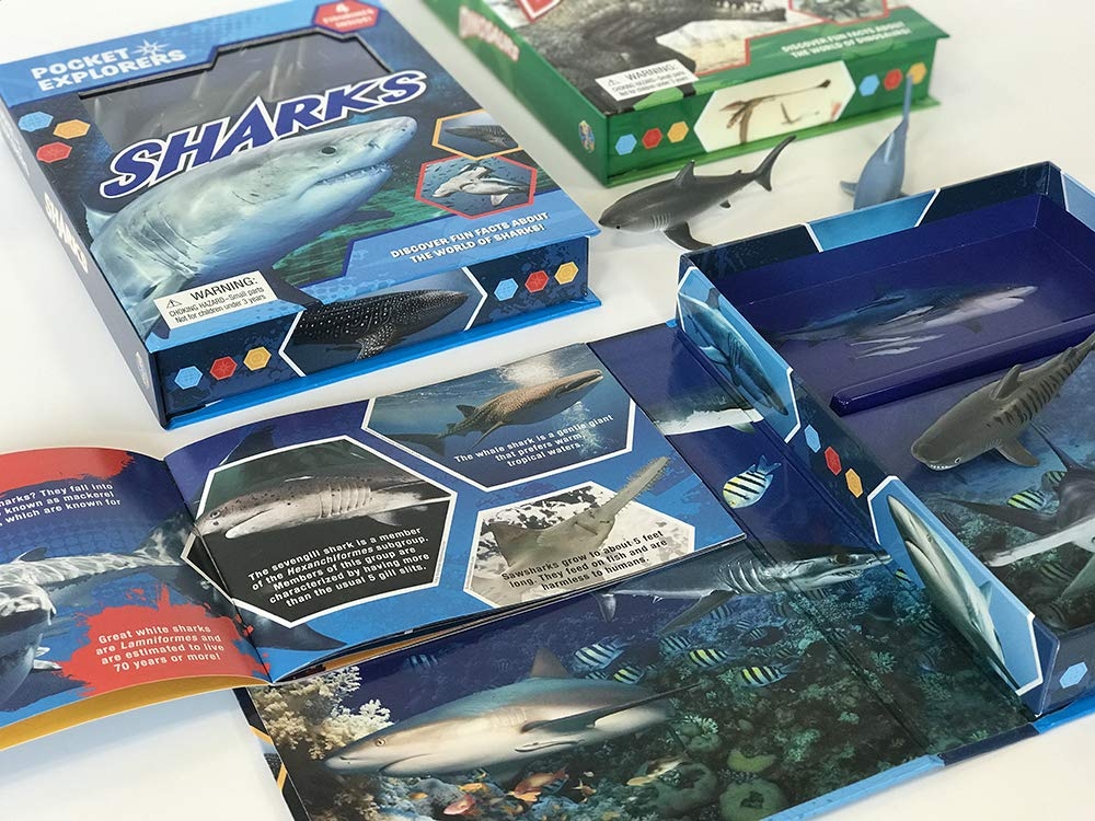 sharks pocket explorers