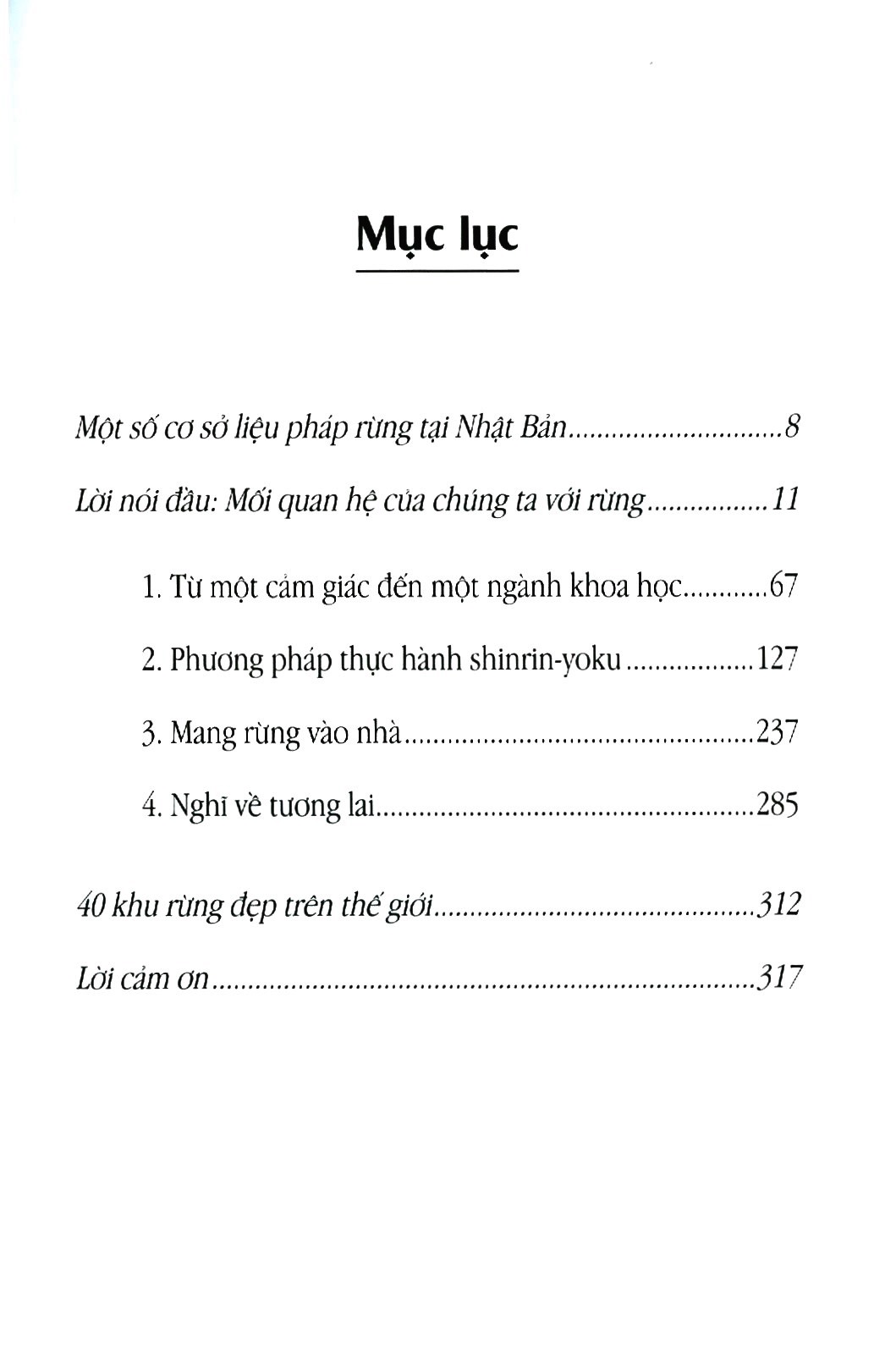 shinrin yoku - nghệ thuật tắm rừng của người nhật