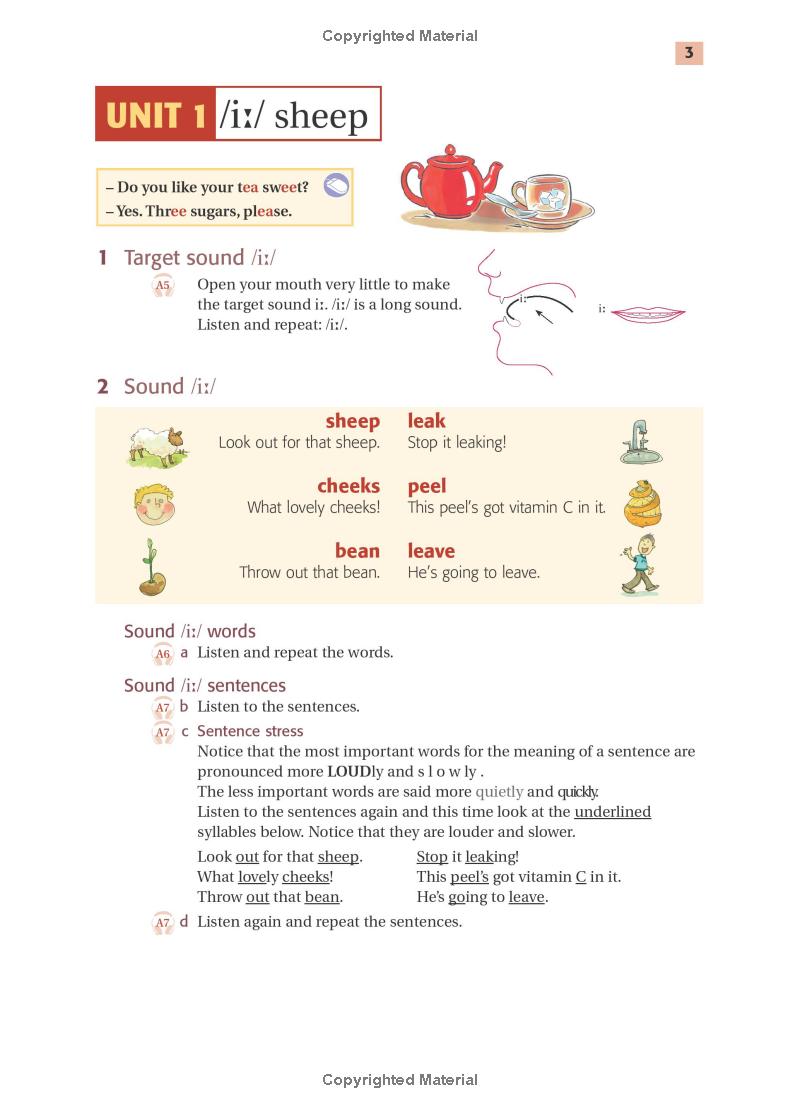 ship or sheep? an intermediate pronunciation course 3rd edition