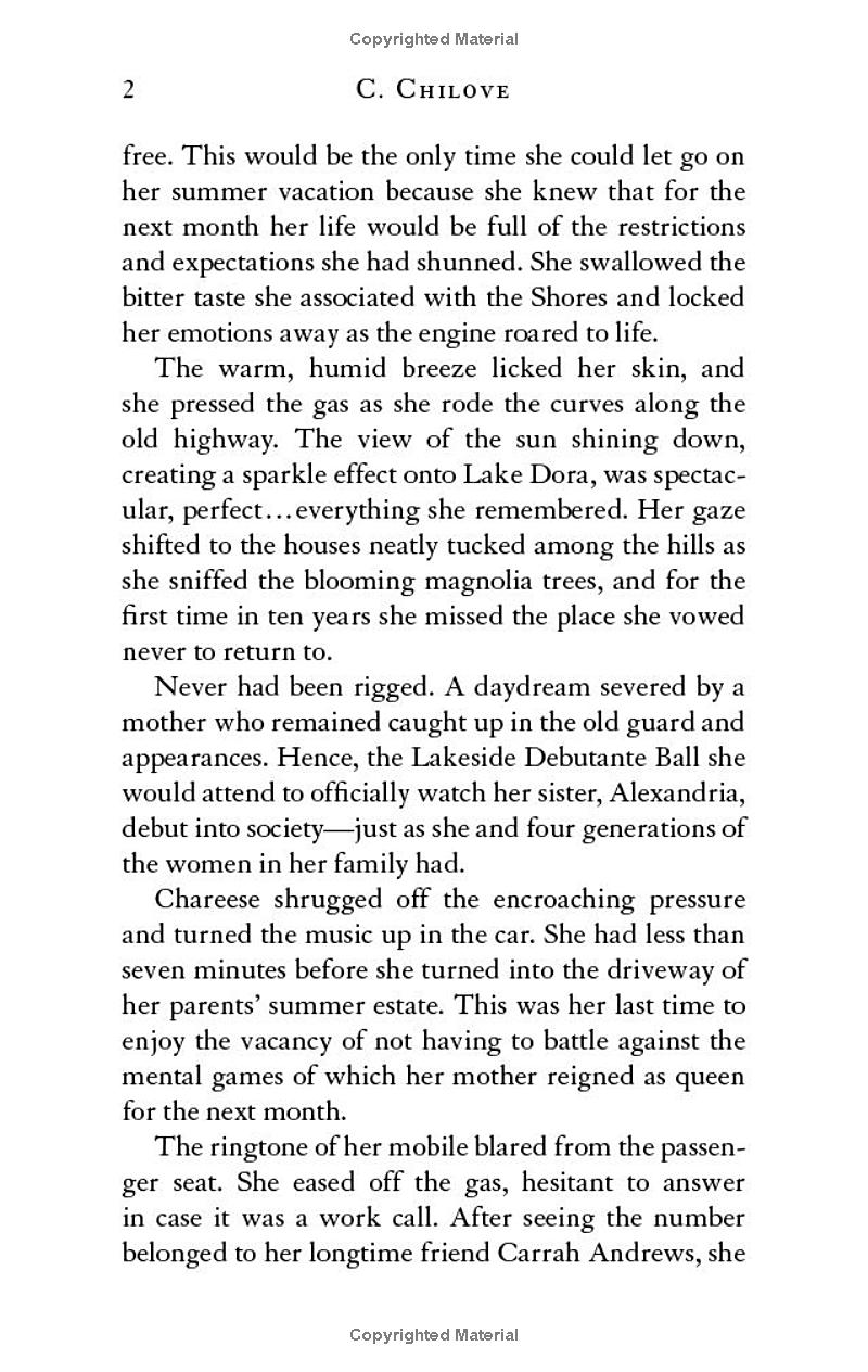 shores of dora - book 1 - a lakeside reunion