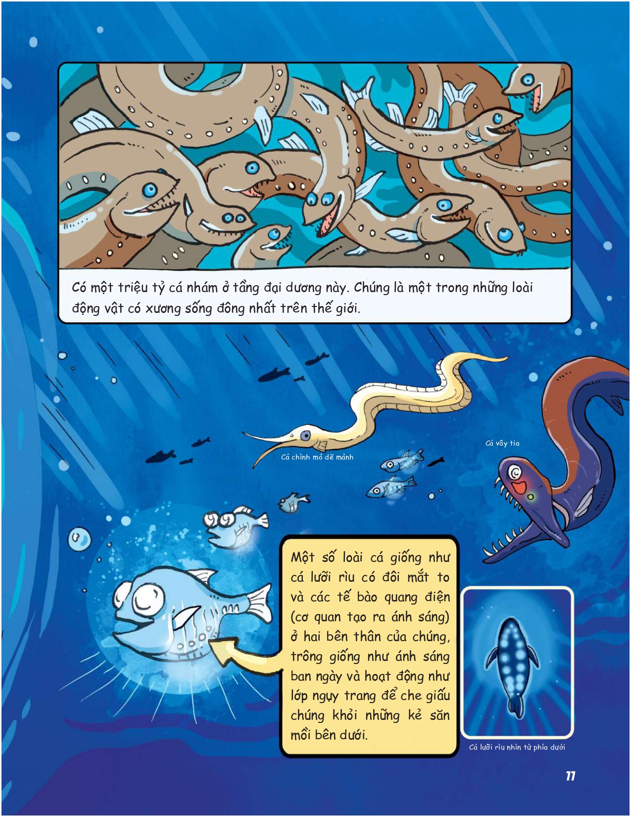 siêu nhí khám phá đại dương