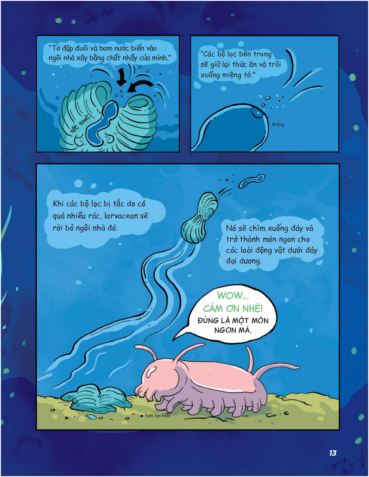 siêu nhí khám phá đại dương