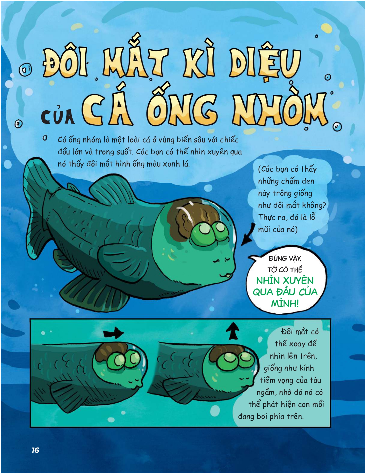 siêu nhí khám phá đại dương