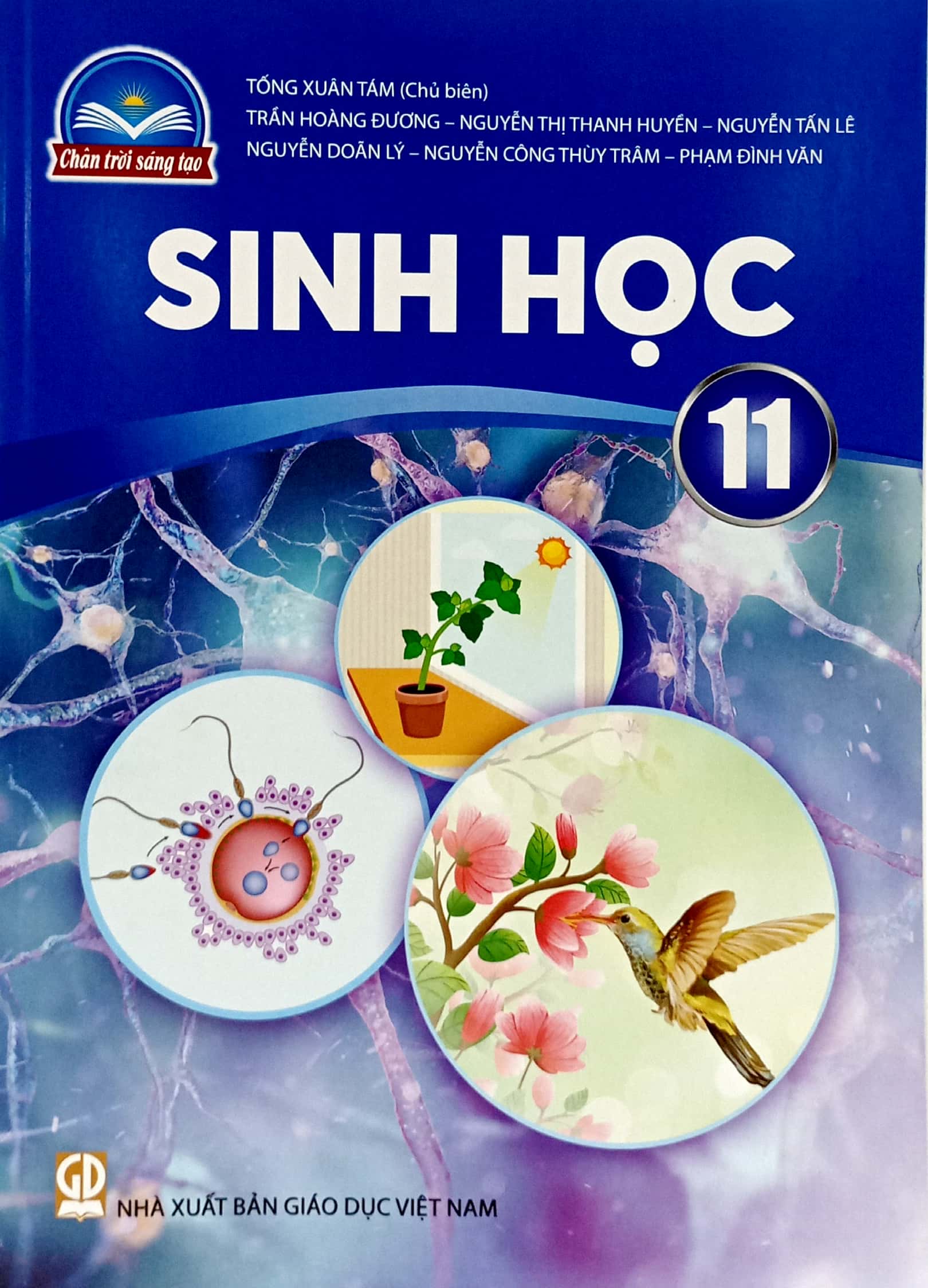 Sinh Hoc 11 (Chan Troi Sang Tao) (Chuan)
