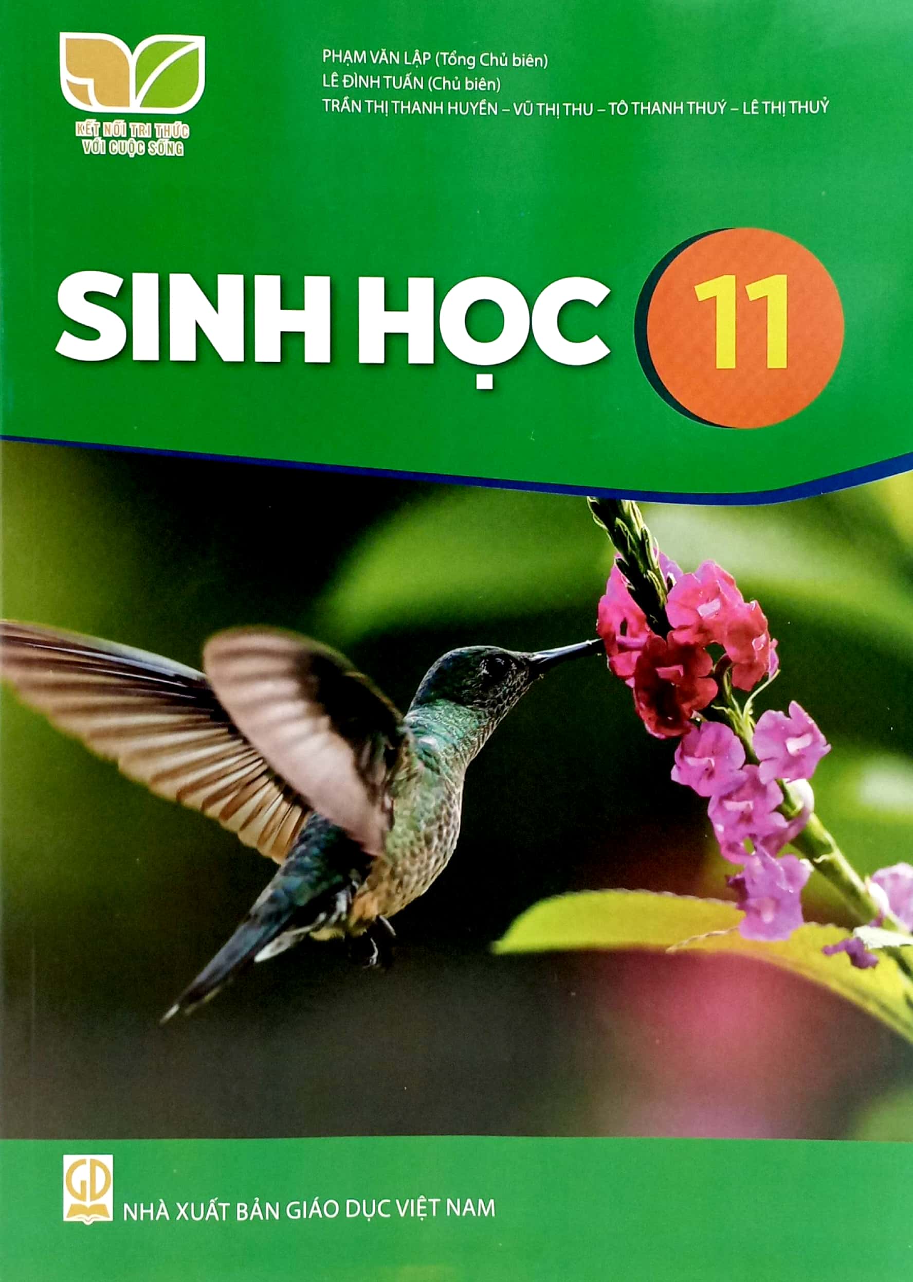 sinh học 11 (kết nối tri thức) (chuẩn)