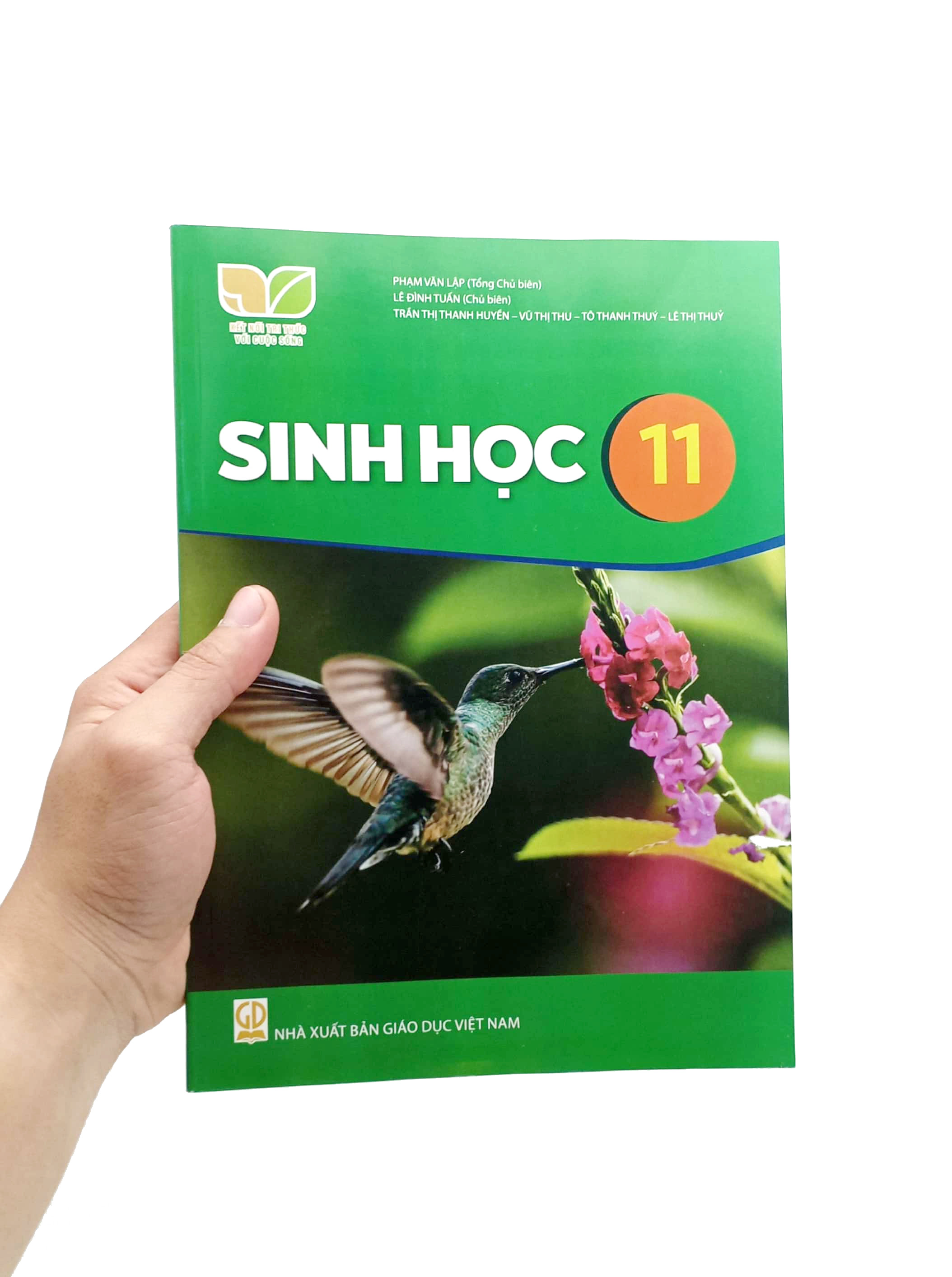 sinh học 11 (kết nối tri thức) (chuẩn)