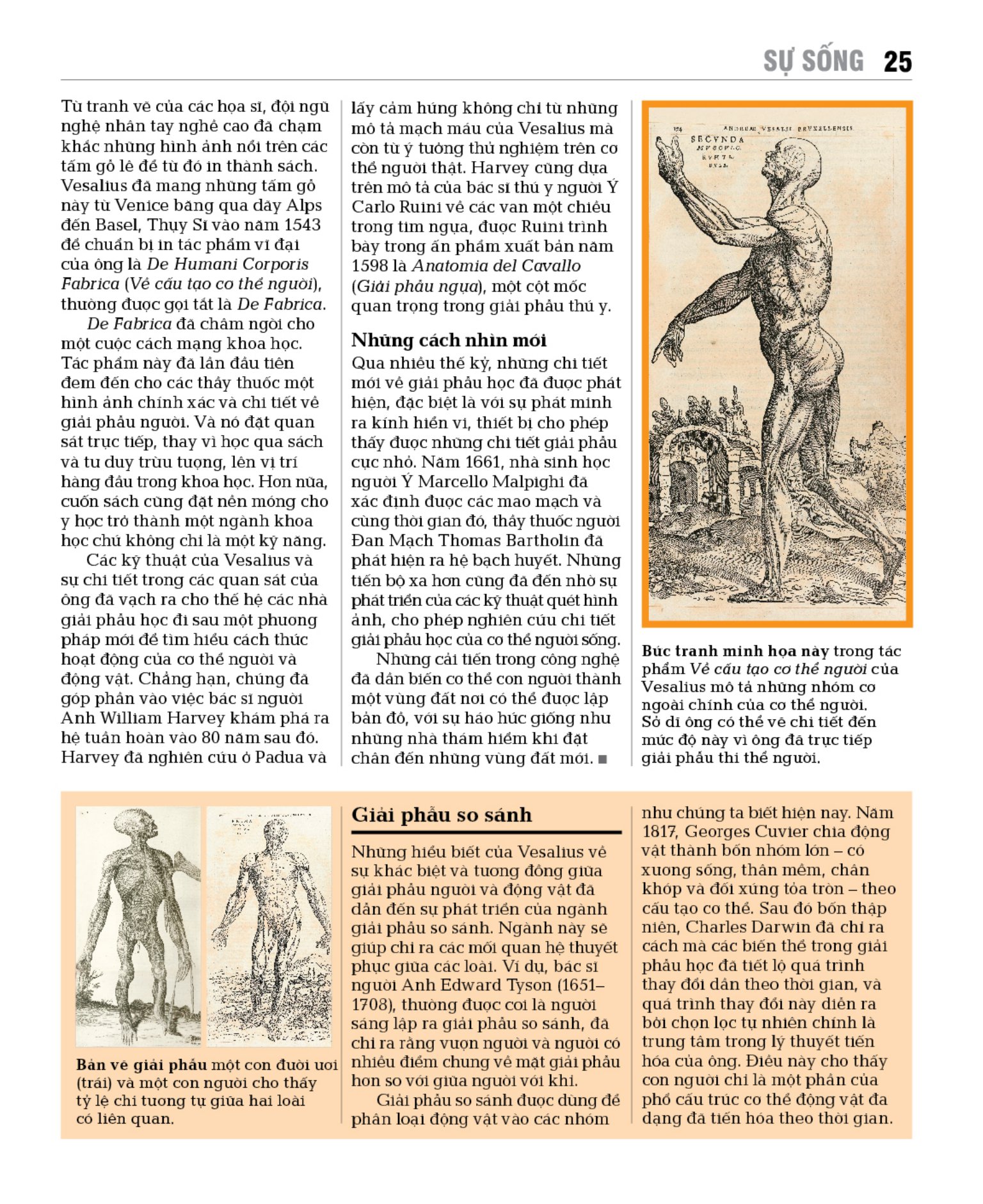 sinh học - khái lược những tư tưởng lớn - bìa cứng