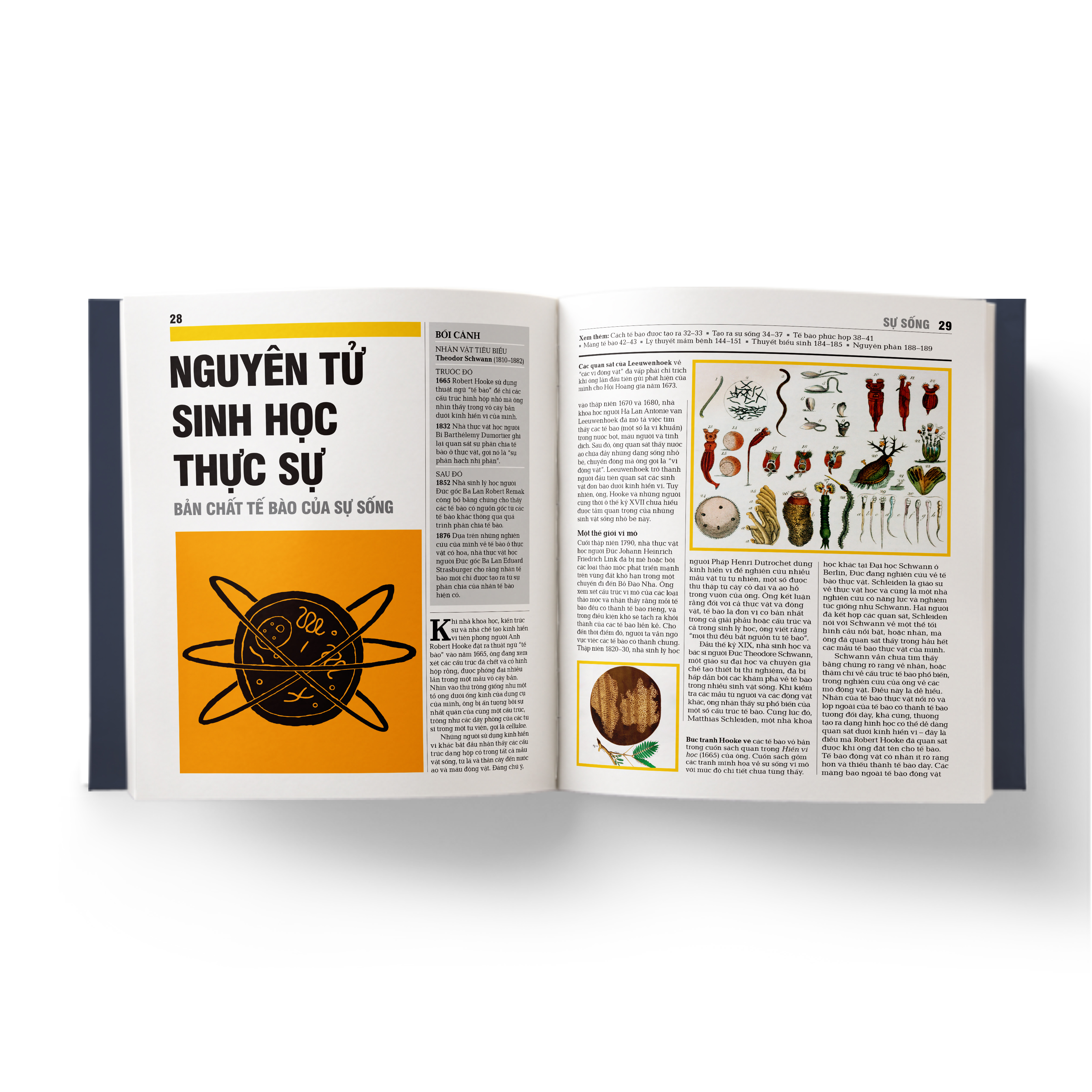 sinh học - khái lược những tư tưởng lớn - bìa cứng