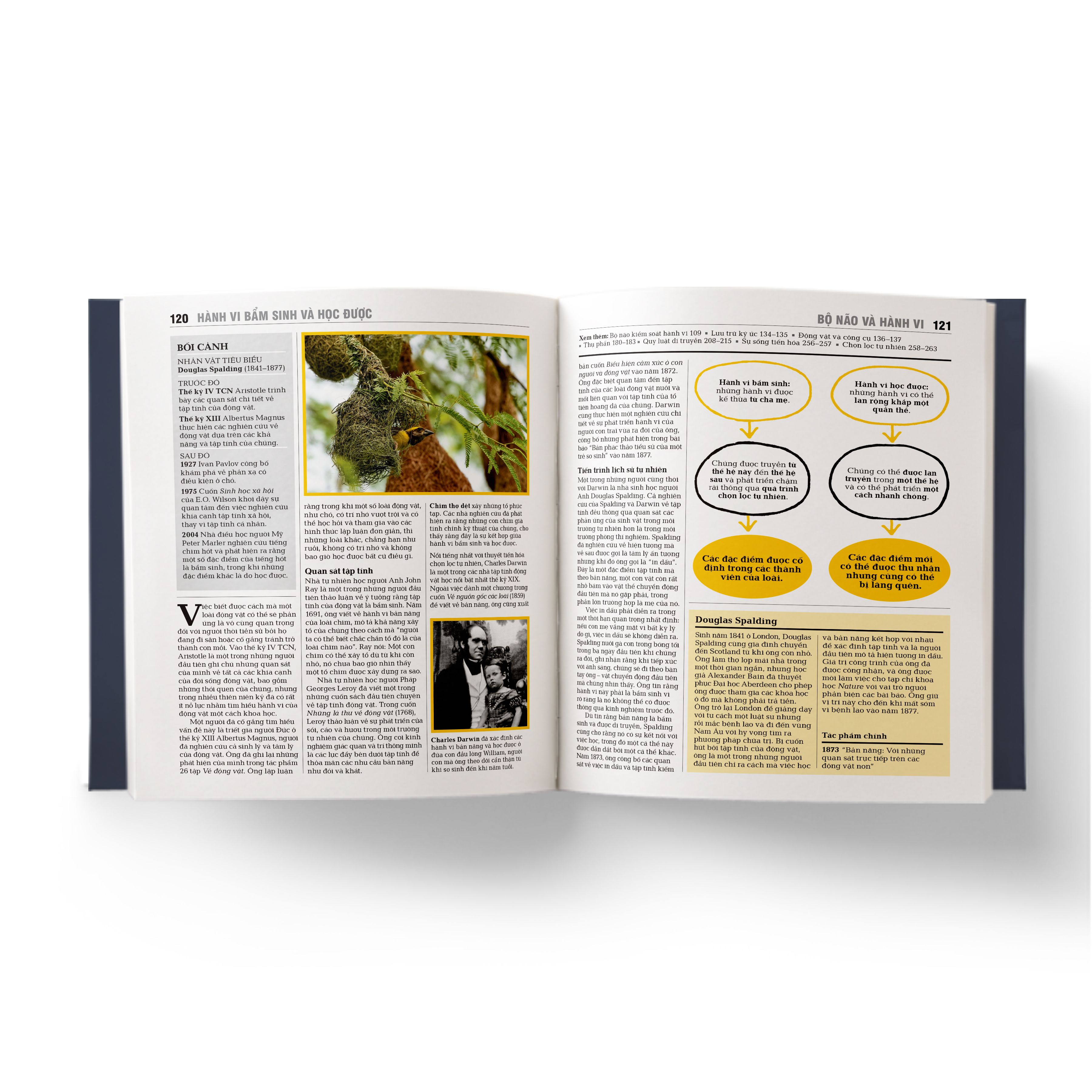 sinh học - khái lược những tư tưởng lớn - bìa cứng